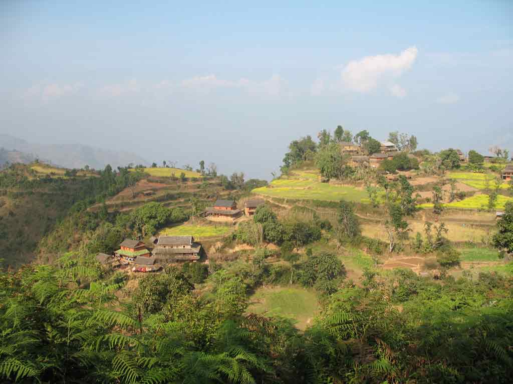media/images/country-pages/nepal/kathmandu-nearby/trips/lowland-homestay-jungle-safari-5-days/lowland-homestay-jungle-safari-5-days-4/2793218-1-eng-GB/lowland-homestay-jungle-safari-5-days-4.jpg