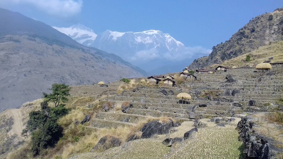 media/images/country-pages/nepal/kathmandu-nearby/trips/sikles-easy-mountain-trek-6-days/sikles-easy-mountain-trek-6-days-7/2794136-1-eng-GB/sikles-easy-mountain-trek-6-days-7.jpg
