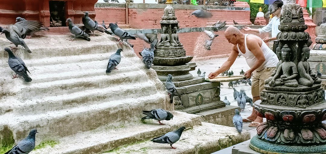 media/images/country-pages/nepal/kathmandu-nearby/trips/the-alleys-of-kathmandu-half-day/the-alleys-of-kathmandu-half-day-1/2792390-1-eng-GB/the-alleys-of-kathmandu-half-day-1.jpg