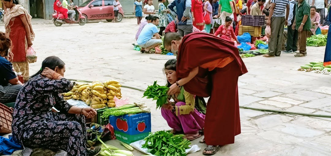 media/images/country-pages/nepal/kathmandu-nearby/trips/the-alleys-of-kathmandu-half-day/the-alleys-of-kathmandu-half-day-4/2792408-1-eng-GB/the-alleys-of-kathmandu-half-day-4.jpg