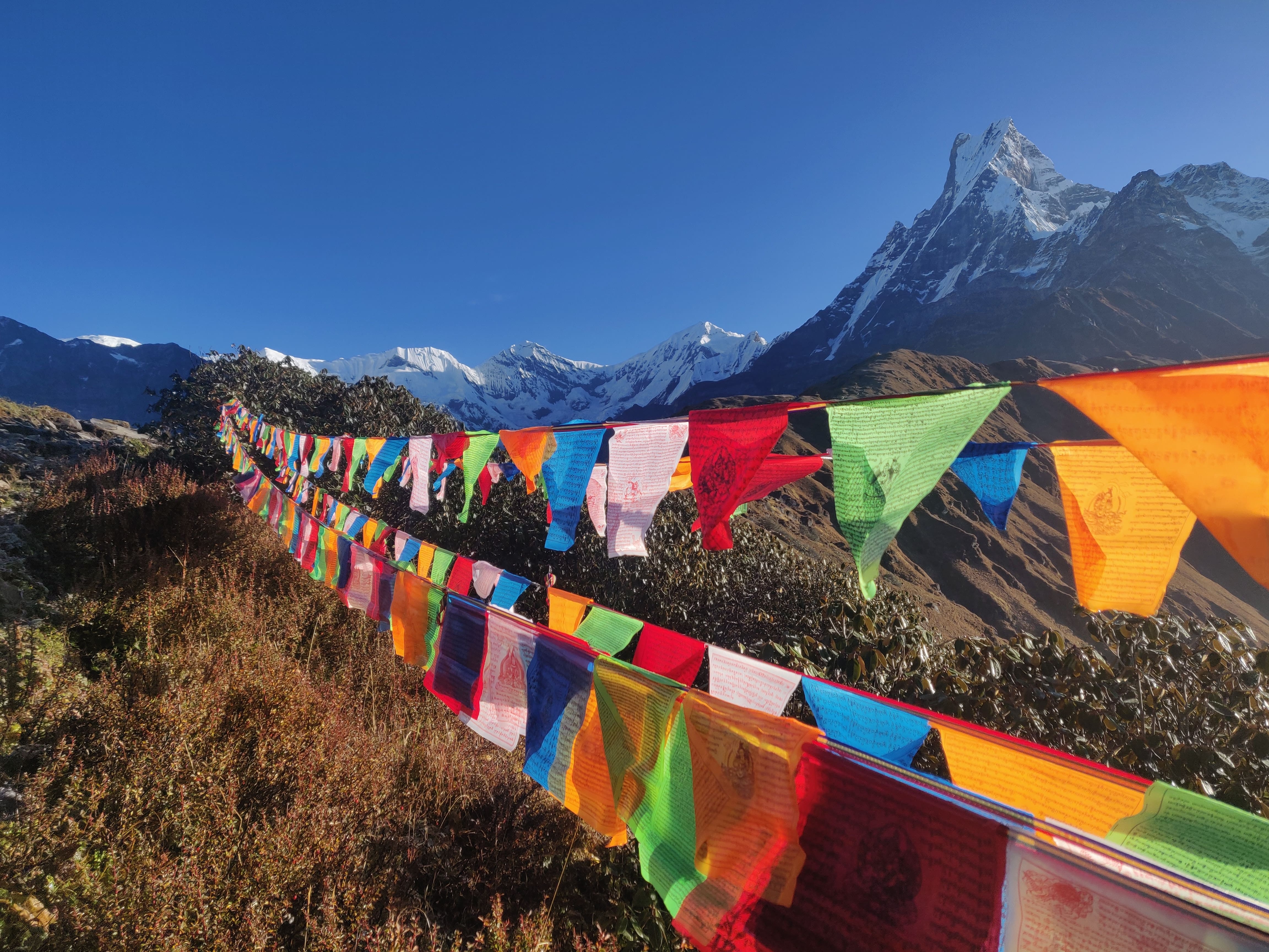 media/images/country-pages/nepal/the-western-terai/sonauli-to-kathmandu-explorer/backpacker-sonauli-to-kathmandu-explorer-12/3390632-1-eng-GB/backpacker-sonauli-to-kathmandu-explorer-12.jpg