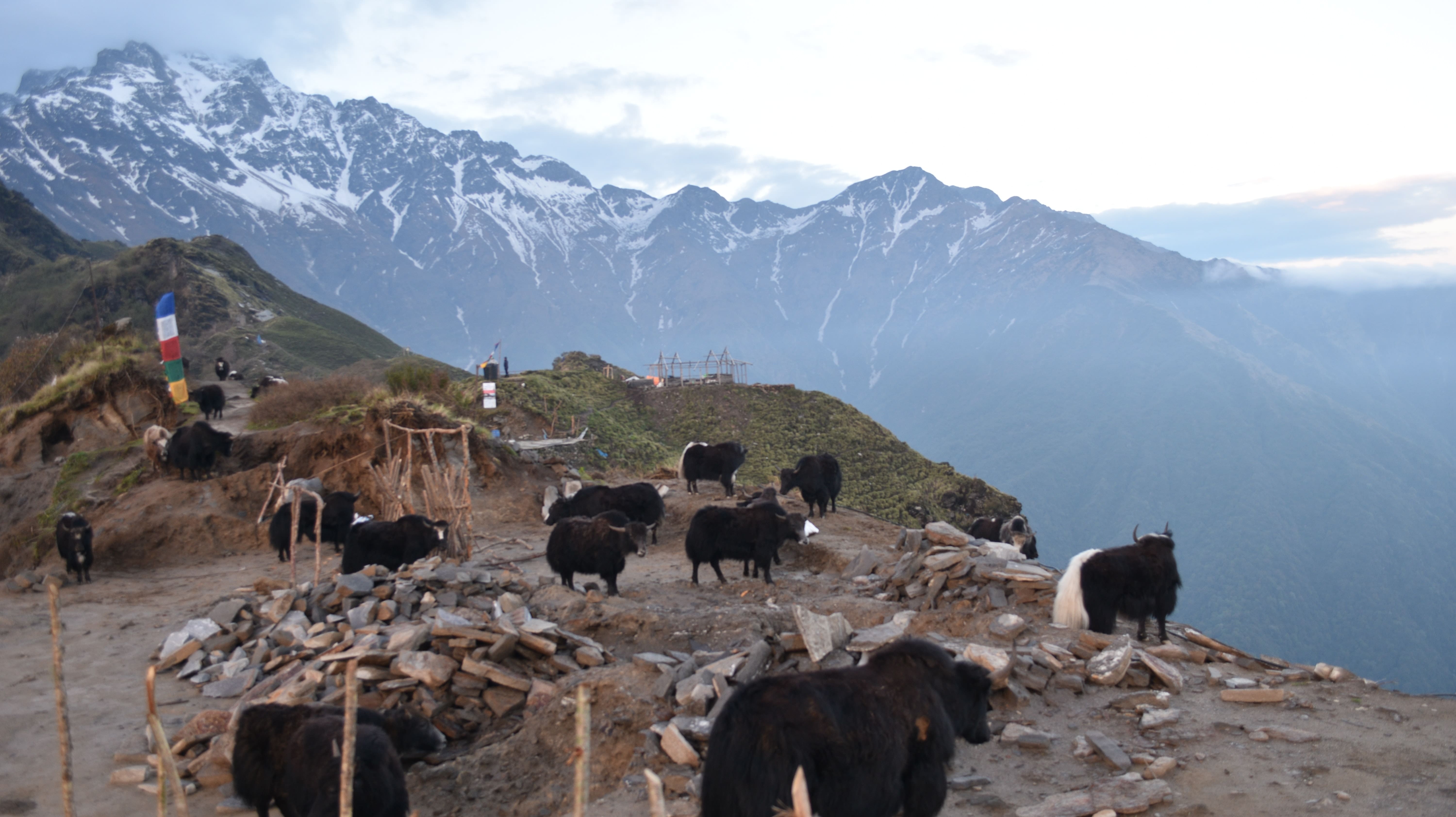 media/images/country-pages/nepal/the-western-terai/sonauli-to-kathmandu-explorer/backpacker-sonauli-to-kathmandu-explorer-5/3390596-1-eng-GB/backpacker-sonauli-to-kathmandu-explorer-5.jpg