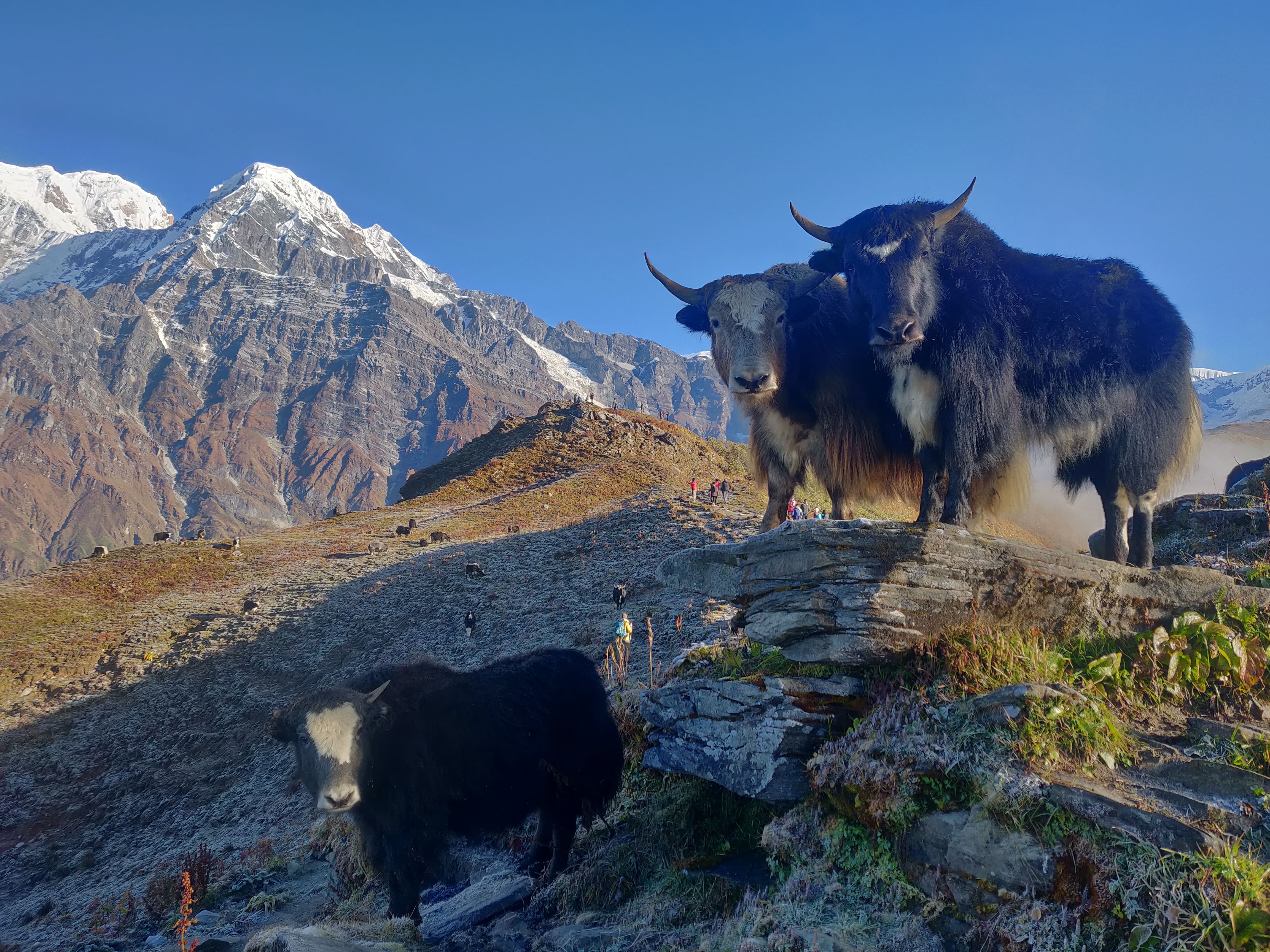 media/images/country-pages/nepal/the-western-terai/sonauli-to-kathmandu-explorer/backpacker-sonauli-to-kathmandu-explorer-6/3390602-1-eng-GB/backpacker-sonauli-to-kathmandu-explorer-6.jpg
