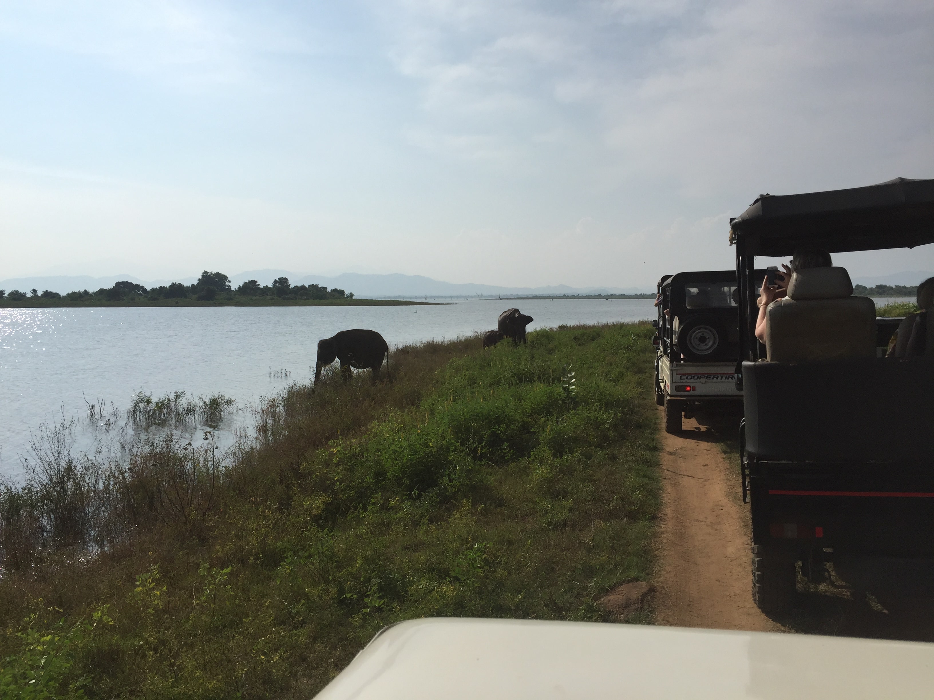 media/images/country-pages/sri-lanka/colombo-and-nearby/trips/colombo-to-southwestern-coast-explorer/colombo-to-southwestern-coast-explorer-11/3446144-1-eng-GB/colombo-to-southwestern-coast-explorer-11.jpg