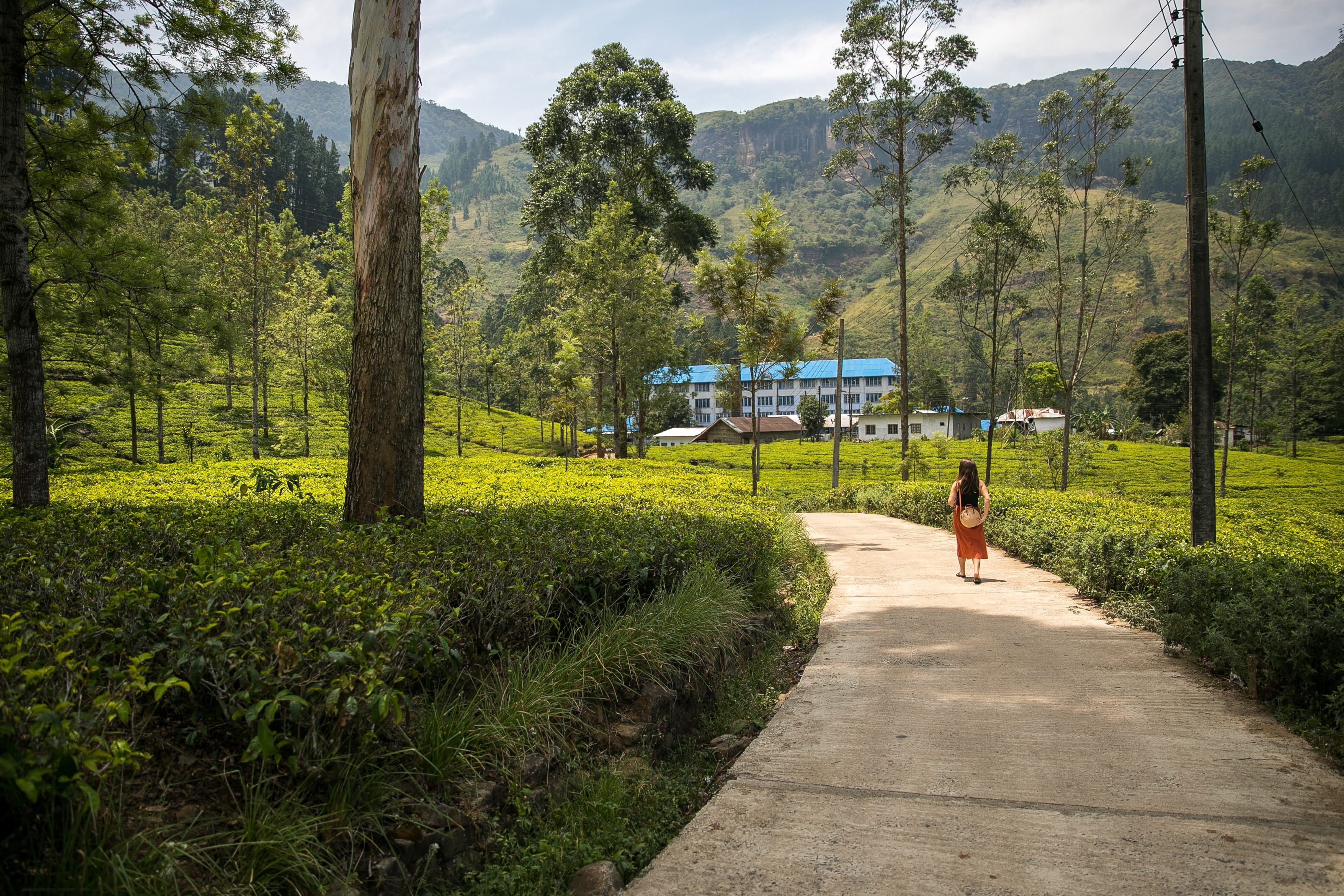 media/images/country-pages/sri-lanka/colombo-and-nearby/trips/colombo-to-southwestern-coast-explorer/colombo-to-southwestern-coast-explorer-6/3446114-1-eng-GB/colombo-to-southwestern-coast-explorer-6.jpg