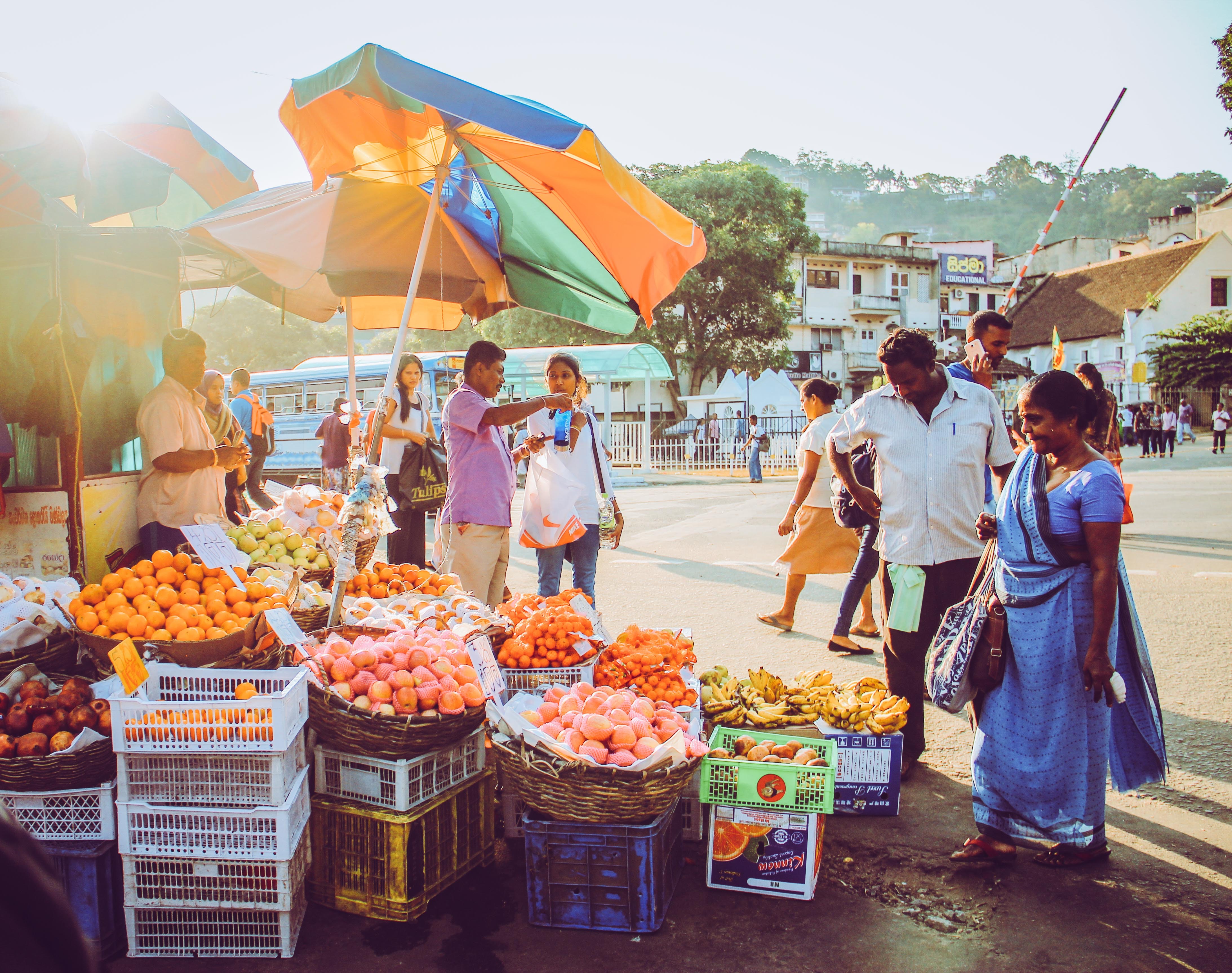 media/images/country-pages/sri-lanka/kandy-and-nearby/best-of-kandy/best-of-kandy-1/2984314-1-eng-GB/best-of-kandy-1.jpg