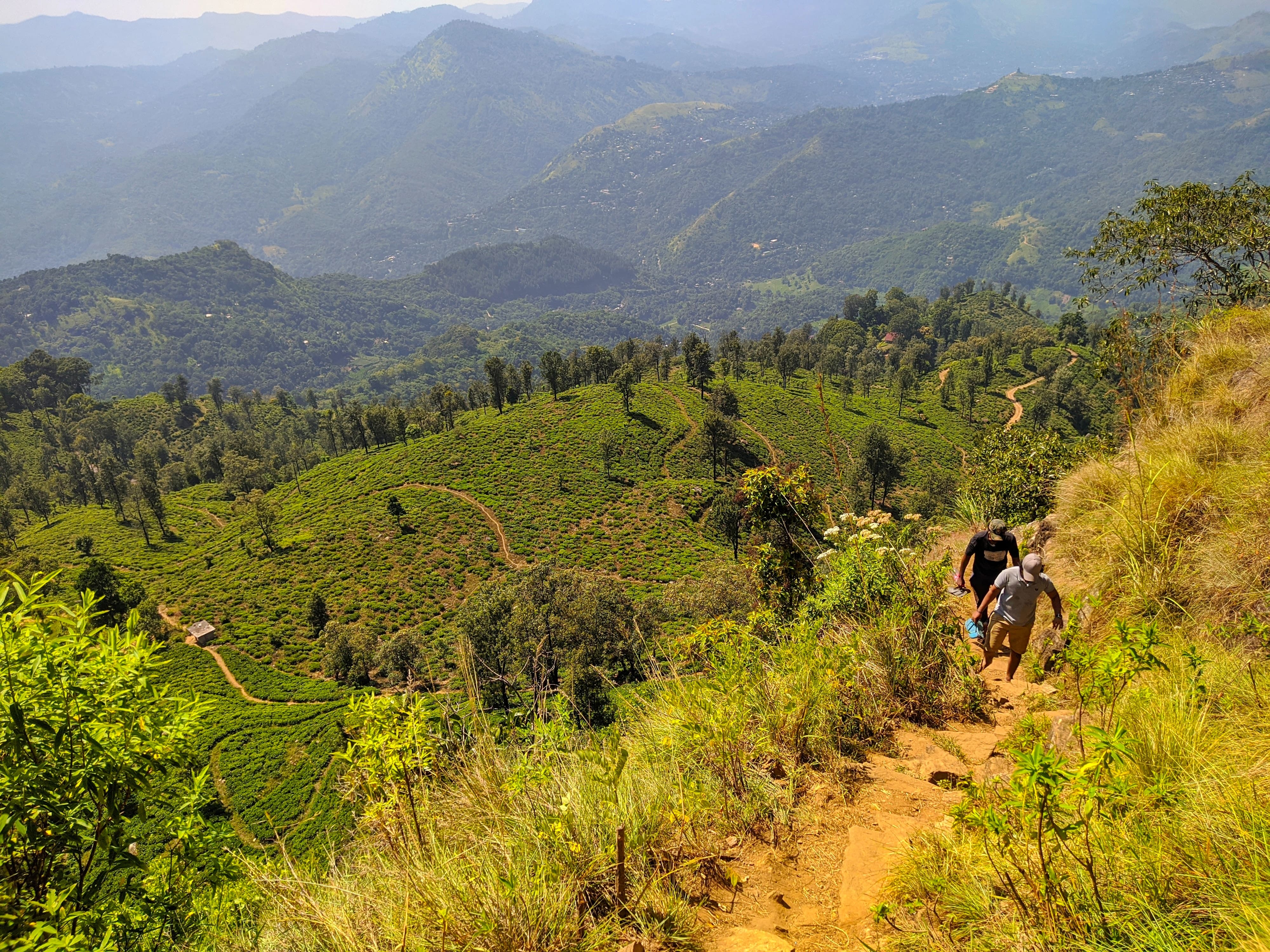 media/images/country-pages/sri-lanka/kandy-and-nearby/kandy-and-nearby-trips/knuckles-mountain-range-hiking-trail/knuckles-mountain-range-hiking-trail-2/2987691-1-eng-GB/knuckles-mountain-range-hiking-trail-2.jpg
