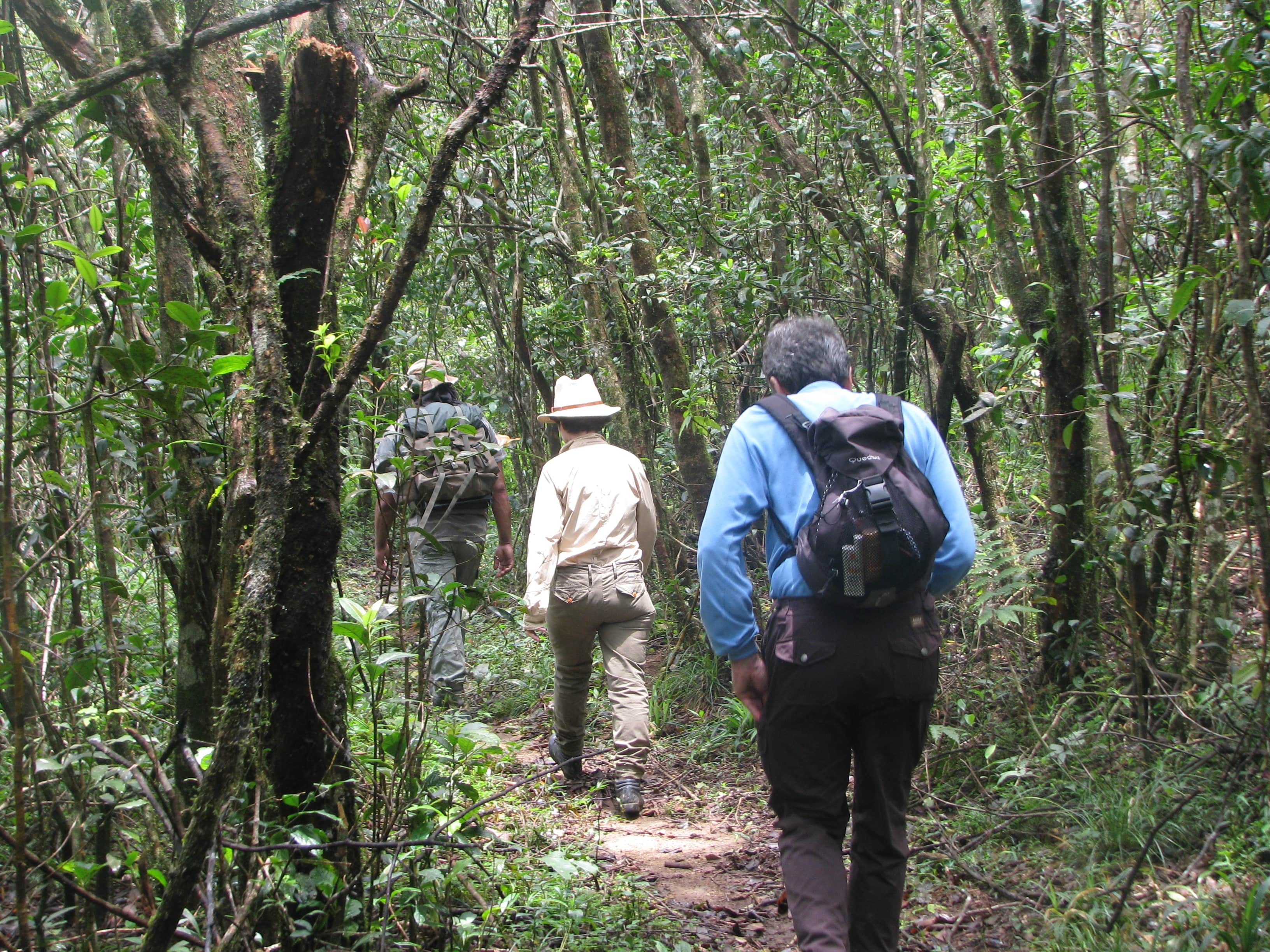 media/images/country-pages/sri-lanka/kandy-and-nearby/kandy-and-nearby-trips/knuckles-mountain-range-hiking-trail/knuckles-mountain-range-hiking-trail-7/2987721-1-eng-GB/knuckles-mountain-range-hiking-trail-7.jpg