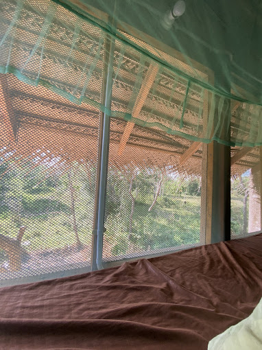 media/images/country-pages/sri-lanka/the-cultural-triangle/basecamps/backpacker-basecamp-at-tree-house-hostel-sigiriya/backpacker-basecamp-at-tree-house-hostel-sigiriya-3/3918088-1-eng-GB/backpacker-basecamp-at-tree-house-hostel-sigiriya-3.jpg