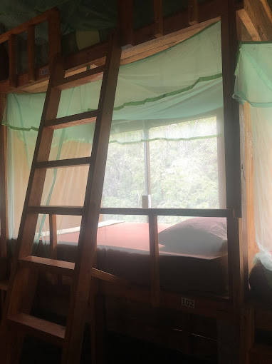 media/images/country-pages/sri-lanka/the-cultural-triangle/basecamps/backpacker-basecamp-at-tree-house-hostel-sigiriya/backpacker-basecamp-at-tree-house-hostel-sigiriya-5/3918100-1-eng-GB/backpacker-basecamp-at-tree-house-hostel-sigiriya-5.jpg