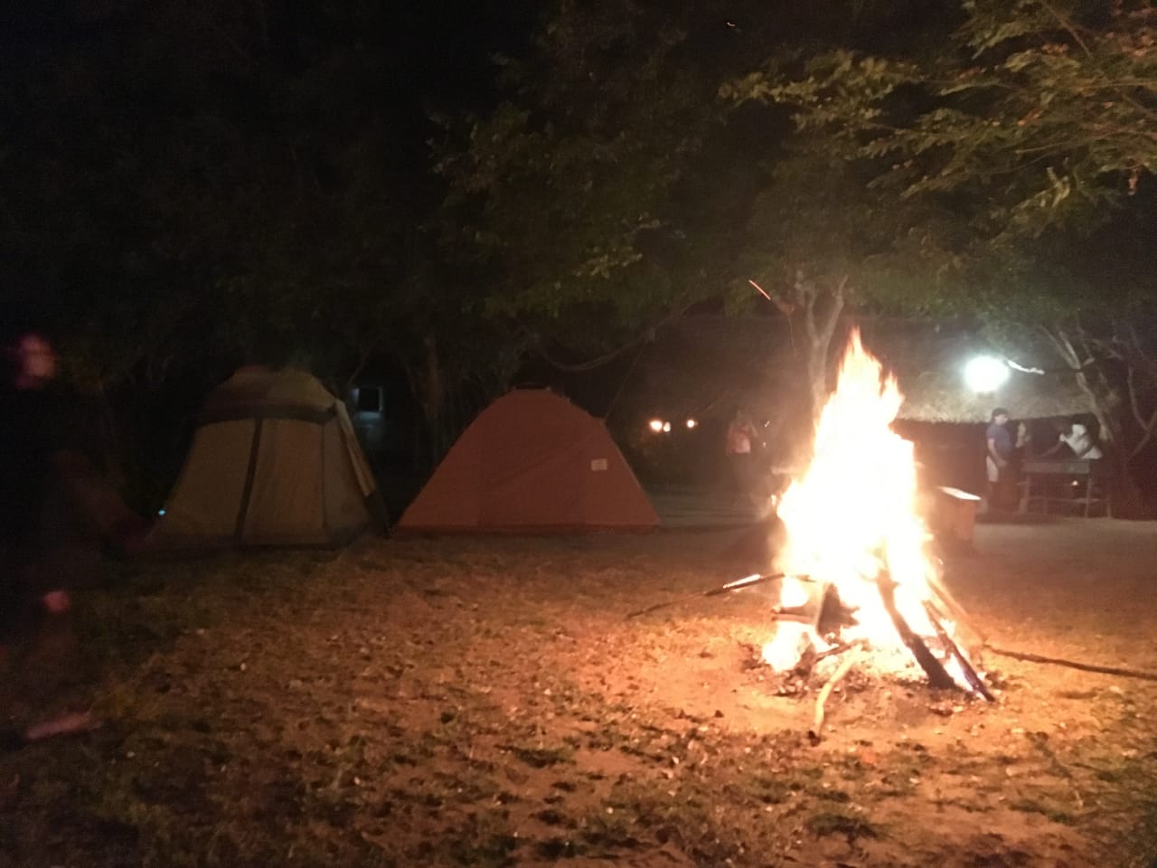 media/images/country-pages/sri-lanka/the-cultural-triangle/trips/habarana-jungle-camping/habarana-jungle-camping-1/3940580-1-eng-GB/habarana-jungle-camping-1.jpg
