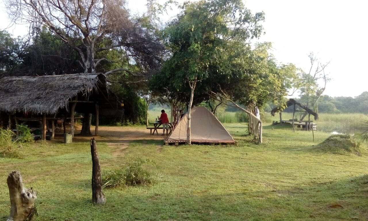 media/images/country-pages/sri-lanka/the-cultural-triangle/trips/habarana-jungle-camping/habarana-jungle-camping-2/3940586-1-eng-GB/habarana-jungle-camping-2.jpg
