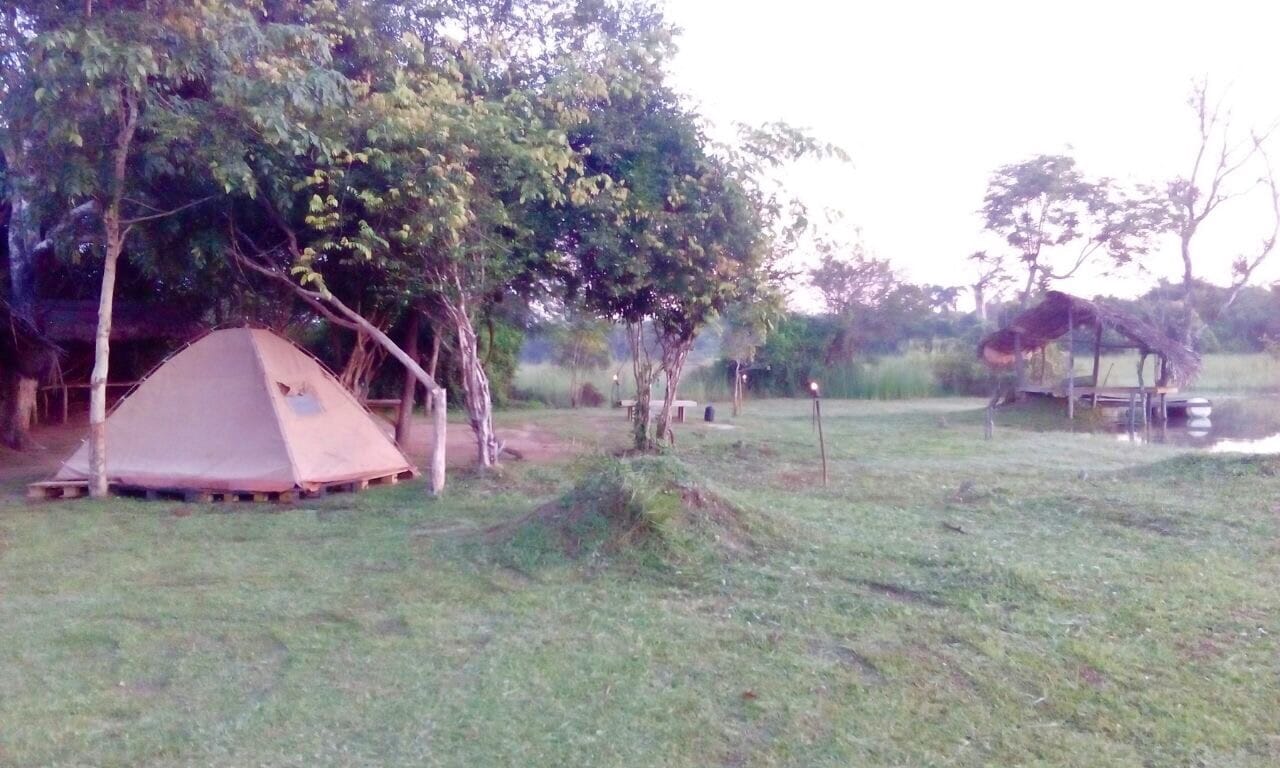 media/images/country-pages/sri-lanka/the-cultural-triangle/trips/habarana-jungle-camping/habarana-jungle-camping-4/3940598-1-eng-GB/habarana-jungle-camping-4.jpg