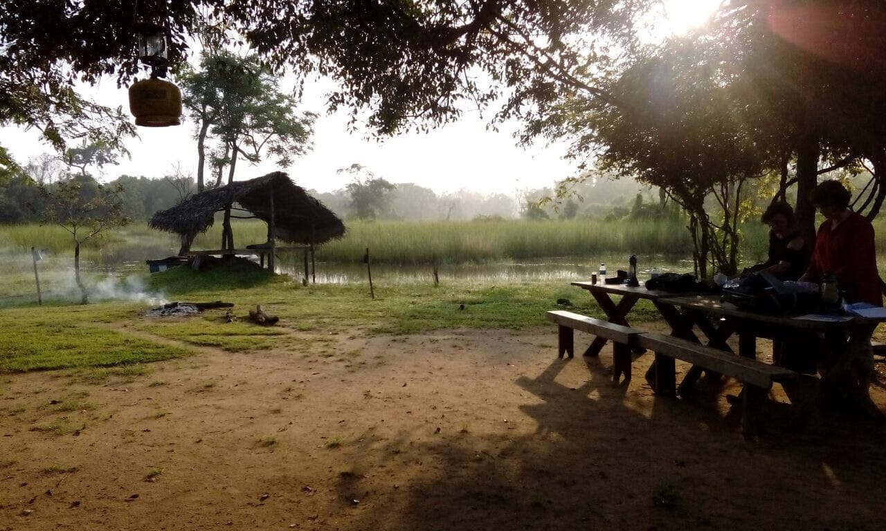 media/images/country-pages/sri-lanka/the-cultural-triangle/trips/habarana-jungle-camping/habarana-jungle-camping-5/3940604-1-eng-GB/habarana-jungle-camping-5.jpg