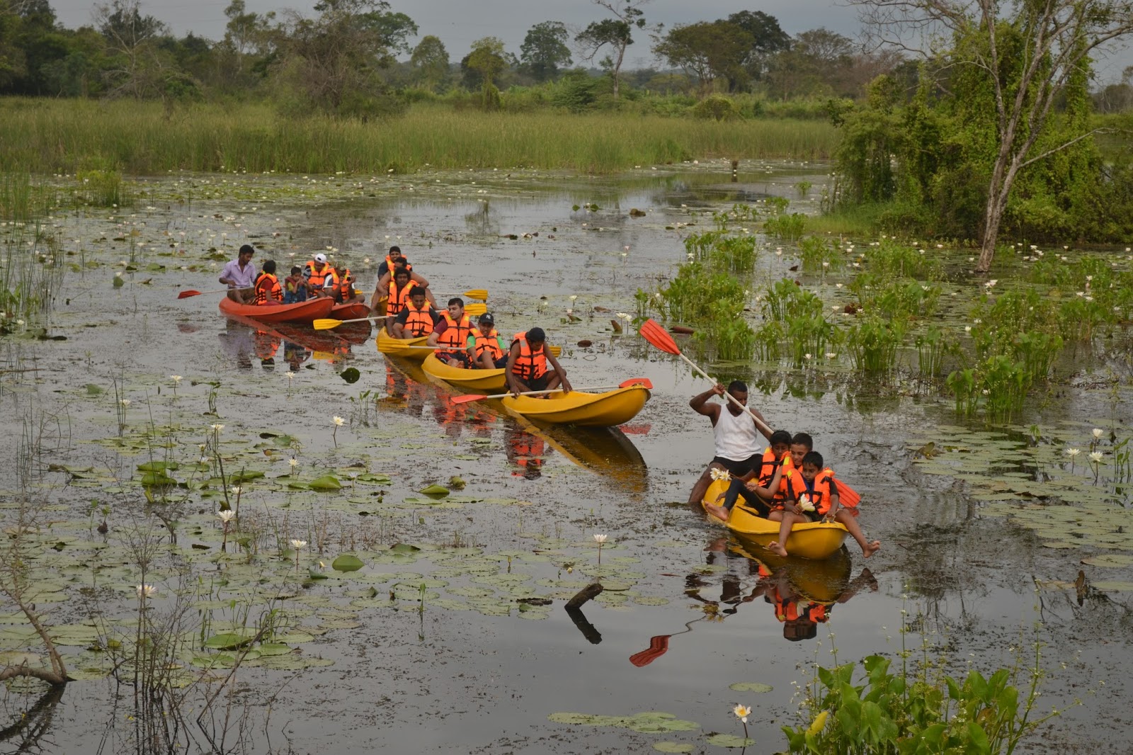 media/images/country-pages/sri-lanka/the-cultural-triangle/trips/habarana-jungle-camping/habarana-jungle-camping-7/3940616-1-eng-GB/habarana-jungle-camping-7.jpg