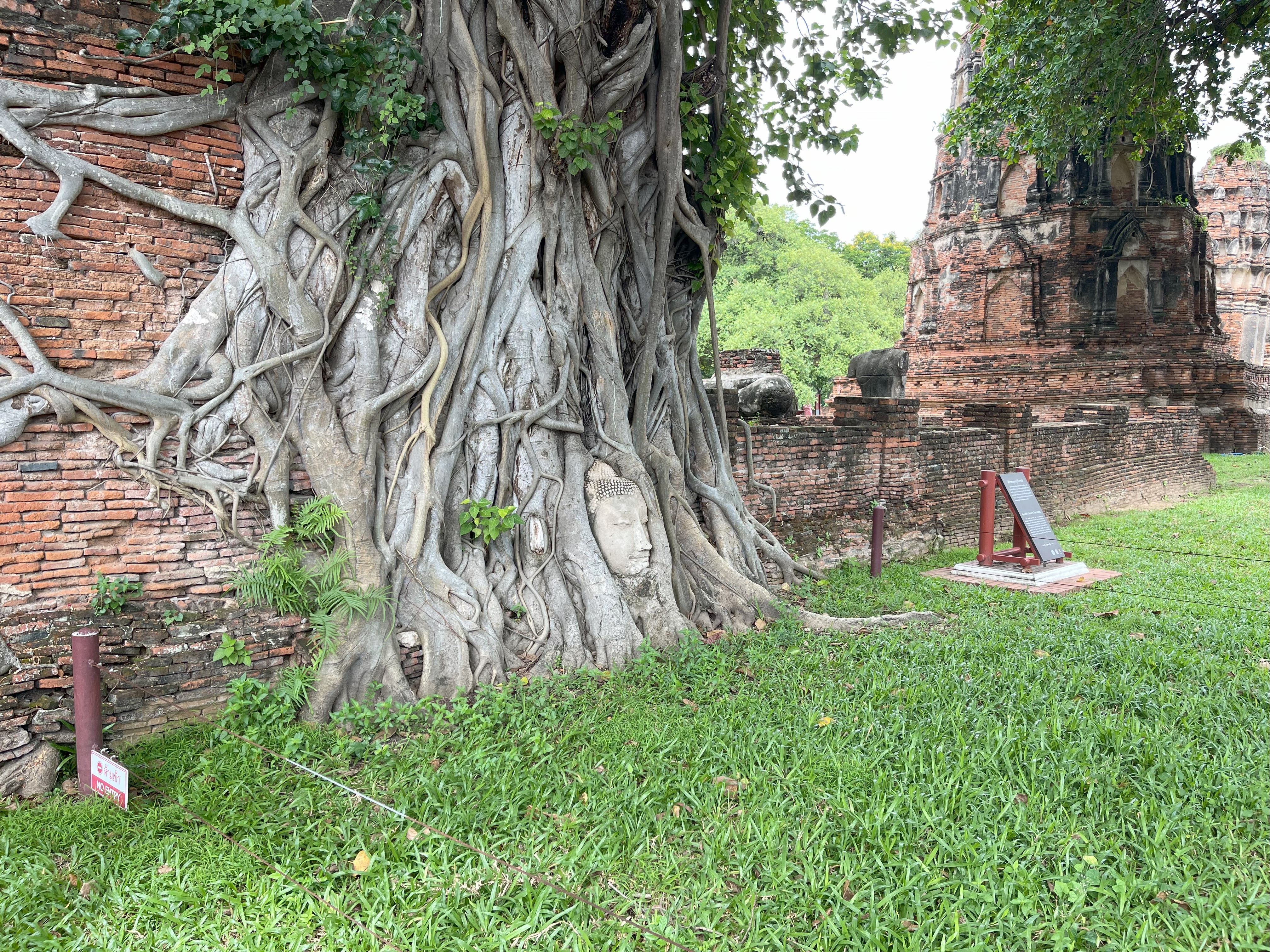 media/images/country-pages/thailand/bangkok-and-nearby/ancient-and-hidden-ayutthaya-by-bike-new/ayutthaya-wat-mahathat/4167827-1-eng-GB/ayutthaya-wat-mahathat.jpg