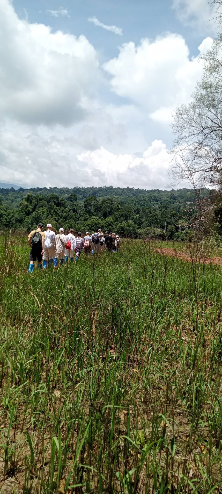 media/images/country-pages/thailand/bangkok-and-nearby/bangkok-to-chiang-mai-khao-yai-national-park-explorer/khao-yai-national-park-3/4332427-1-eng-GB/khao-yai-national-park-3.jpg
