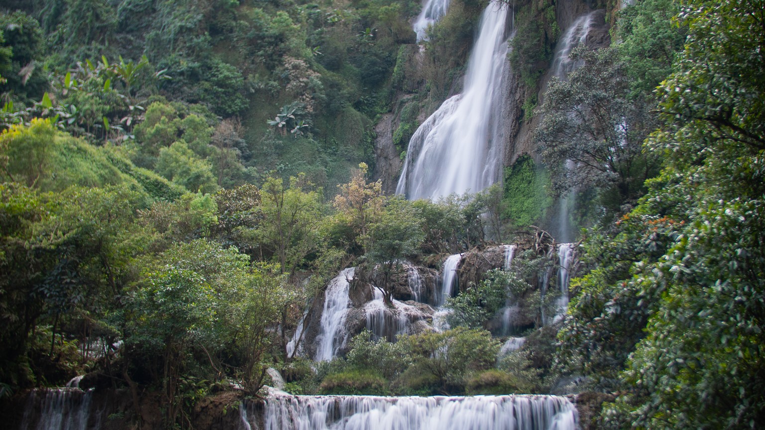 media/images/country-pages/thailand/bangkok-and-nearby/bangkok-to-chiang-mai-umphang-wildlife-explorer/umphang-10/3669866-1-eng-GB/umphang-10.jpg