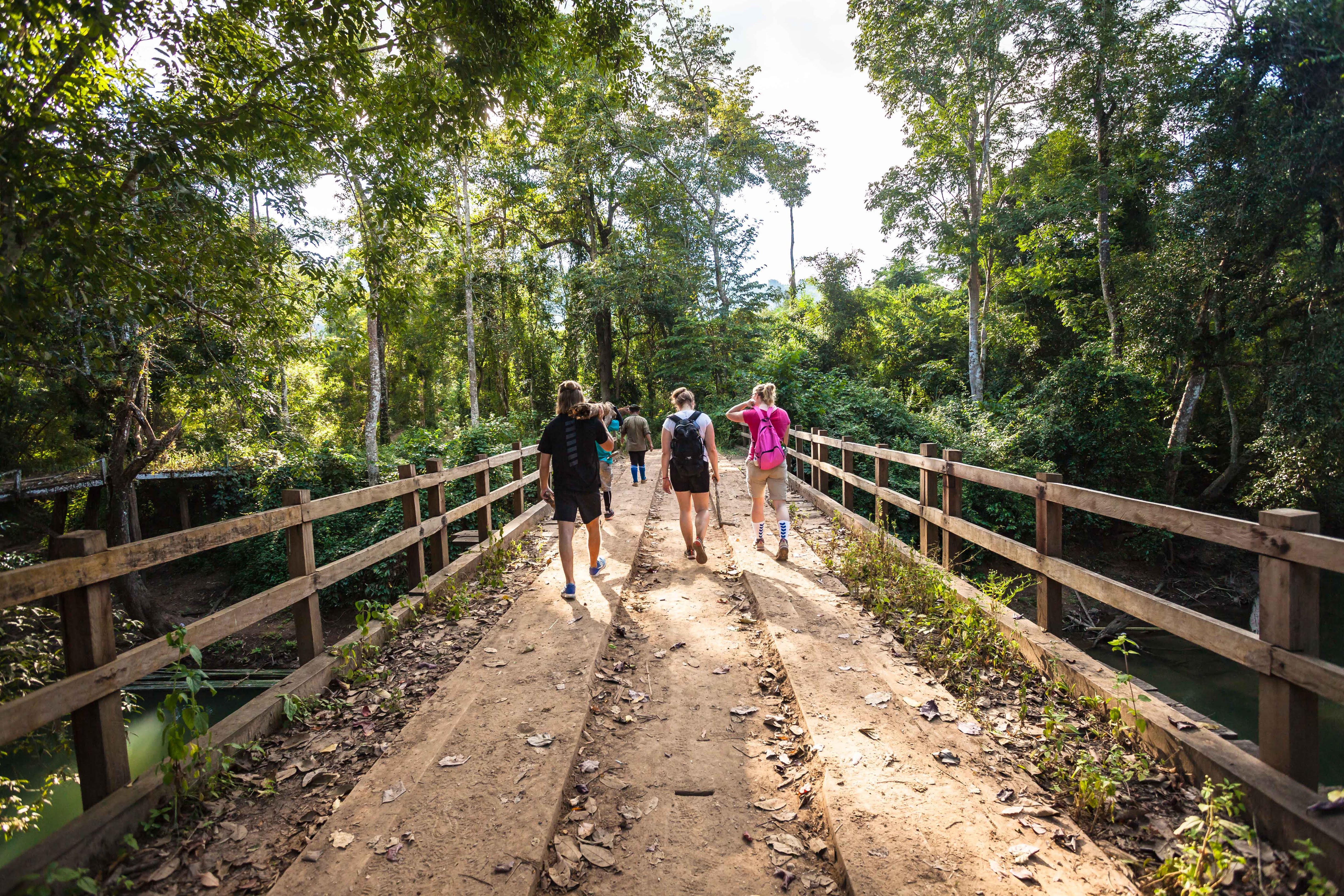 media/images/country-pages/thailand/bangkok-nearby/bangkok-nearby-journeys/umphang-trek-6-days/umphang-trek-6-days-22/2809976-1-eng-GB/umphang-trek-6-days-22.jpg