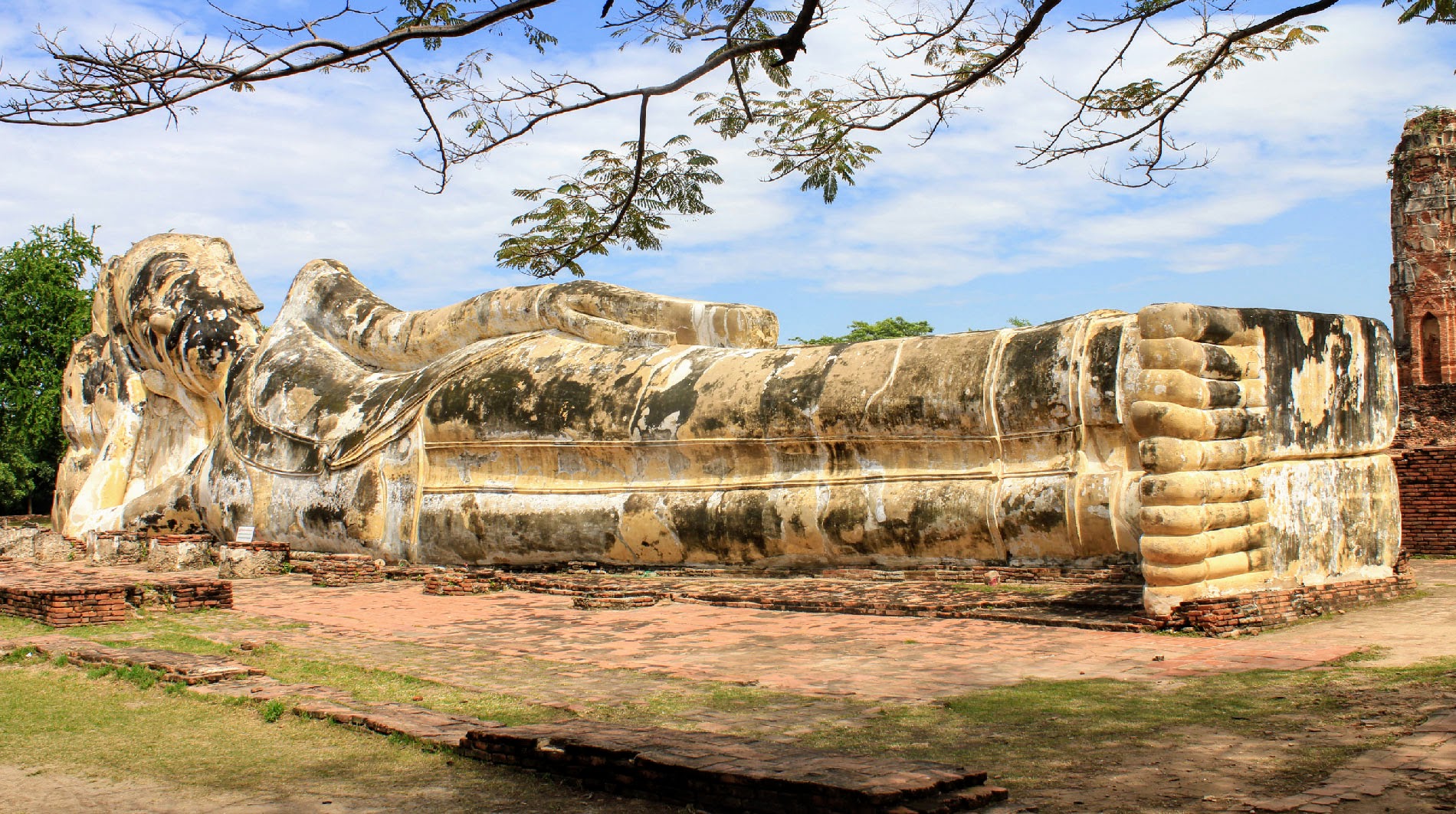 media/images/country-pages/thailand/bangkok-nearby/bangkok-nearby-trips/ancient-and-hidden-ayutthaya-by-bike/ayutthaya-wat-loka-yasutharam/2795561-1-eng-GB/ayutthaya-wat-loka-yasutharam.jpg