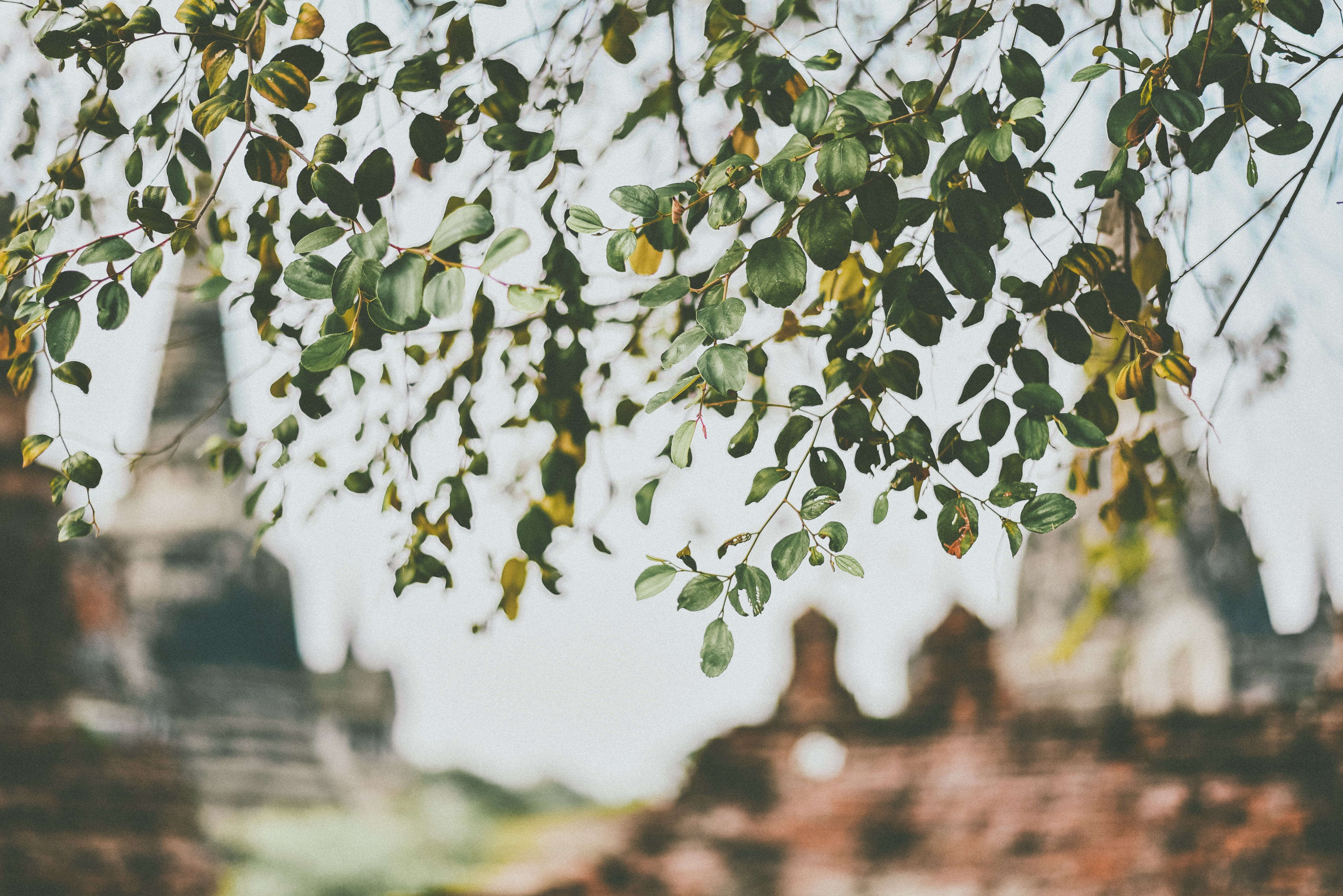 media/images/country-pages/thailand/bangkok-nearby/bangkok-nearby-trips/ancient-and-hidden-ayutthaya-by-bike/ham-kris-u3qduaccypm-unsplash/2795531-1-eng-GB/ham-kris-u3qduaccypm-unsplash.jpg