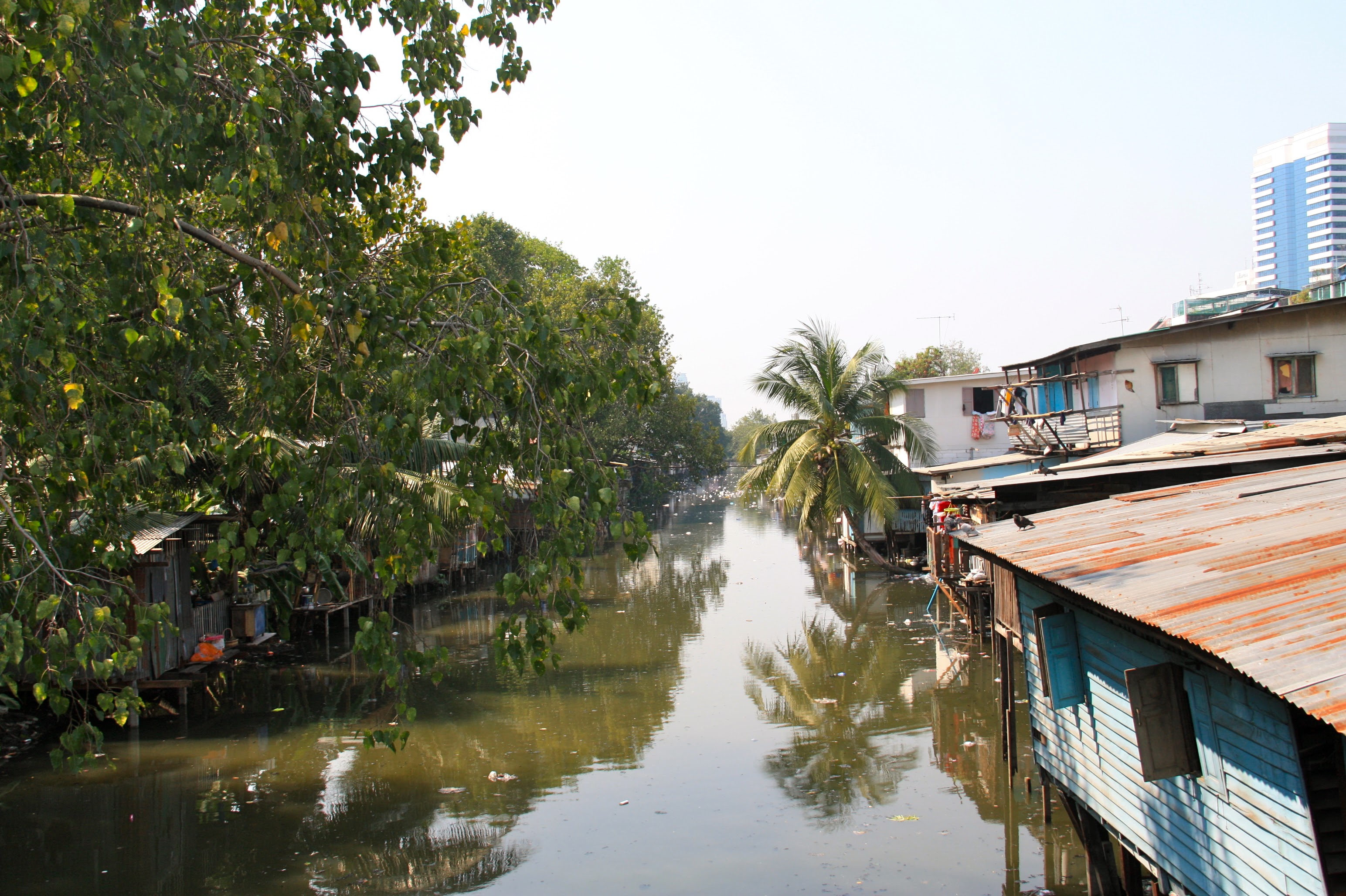 media/images/country-pages/thailand/bangkok-nearby/bangkok-nearby-trips/morning-green-lungs-of-bangkok-by-bike/8/2845738-1-eng-GB/8.jpg