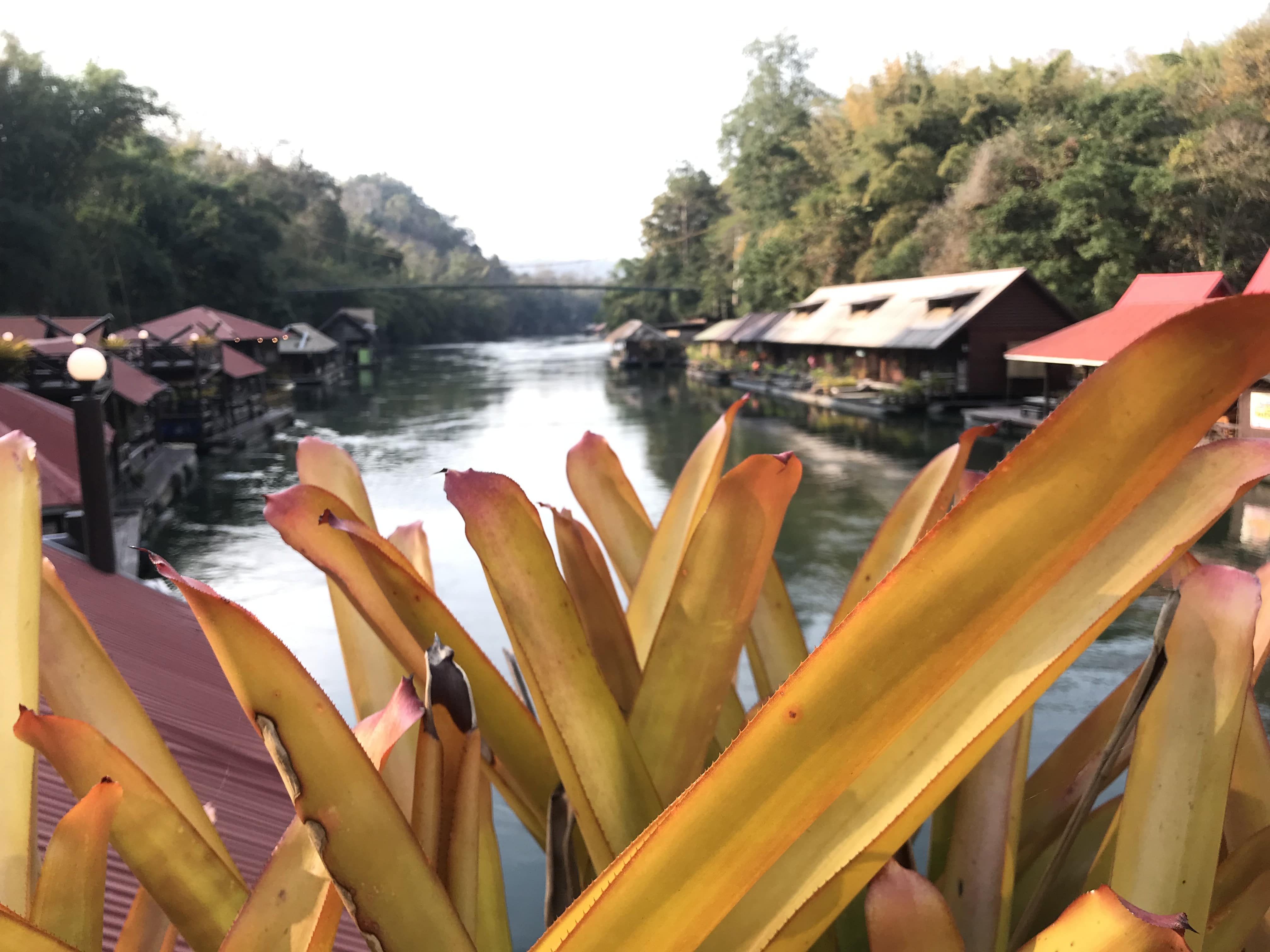 media/images/country-pages/thailand/bangkok-nearby/bangkok-nearby-trips/sai-yok-jungle-explorer/sai-yok-jungle-explorer-14/2985795-1-eng-GB/sai-yok-jungle-explorer-14.jpg