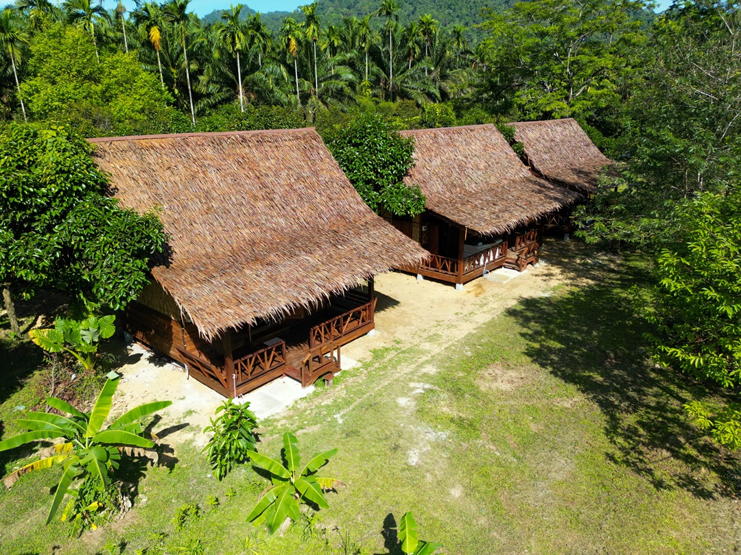 media/images/country-pages/thailand/the-andaman-coast/backpacker-phuket-to-koh-phangan-explorer/our-jungle-camp-life-3/3912640-1-eng-GB/our-jungle-camp-life-3.jpg