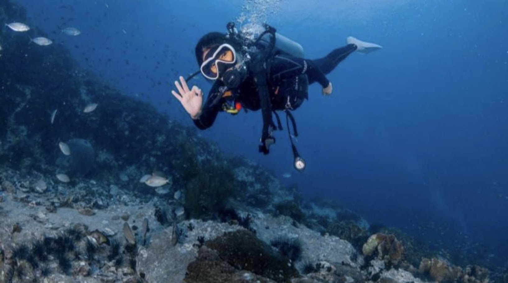 media/images/country-pages/thailand/the-andaman-coast/koh-tao-padi-open-water-course-by-the-dearly/koh-tao-padi-open-water-course-by-the-dearly-1/4155347-1-eng-GB/koh-tao-padi-open-water-course-by-the-dearly-1.jpg