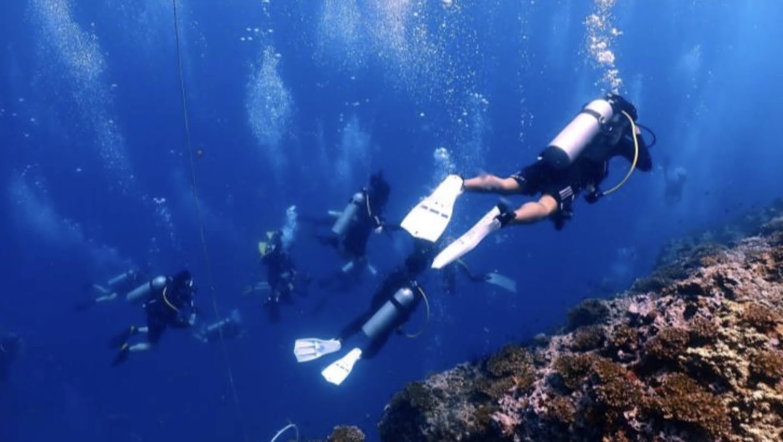 media/images/country-pages/thailand/the-andaman-coast/koh-tao-padi-open-water-course-by-the-dearly/koh-tao-padi-open-water-course-by-the-dearly-2/4155353-1-eng-GB/koh-tao-padi-open-water-course-by-the-dearly-2.jpg