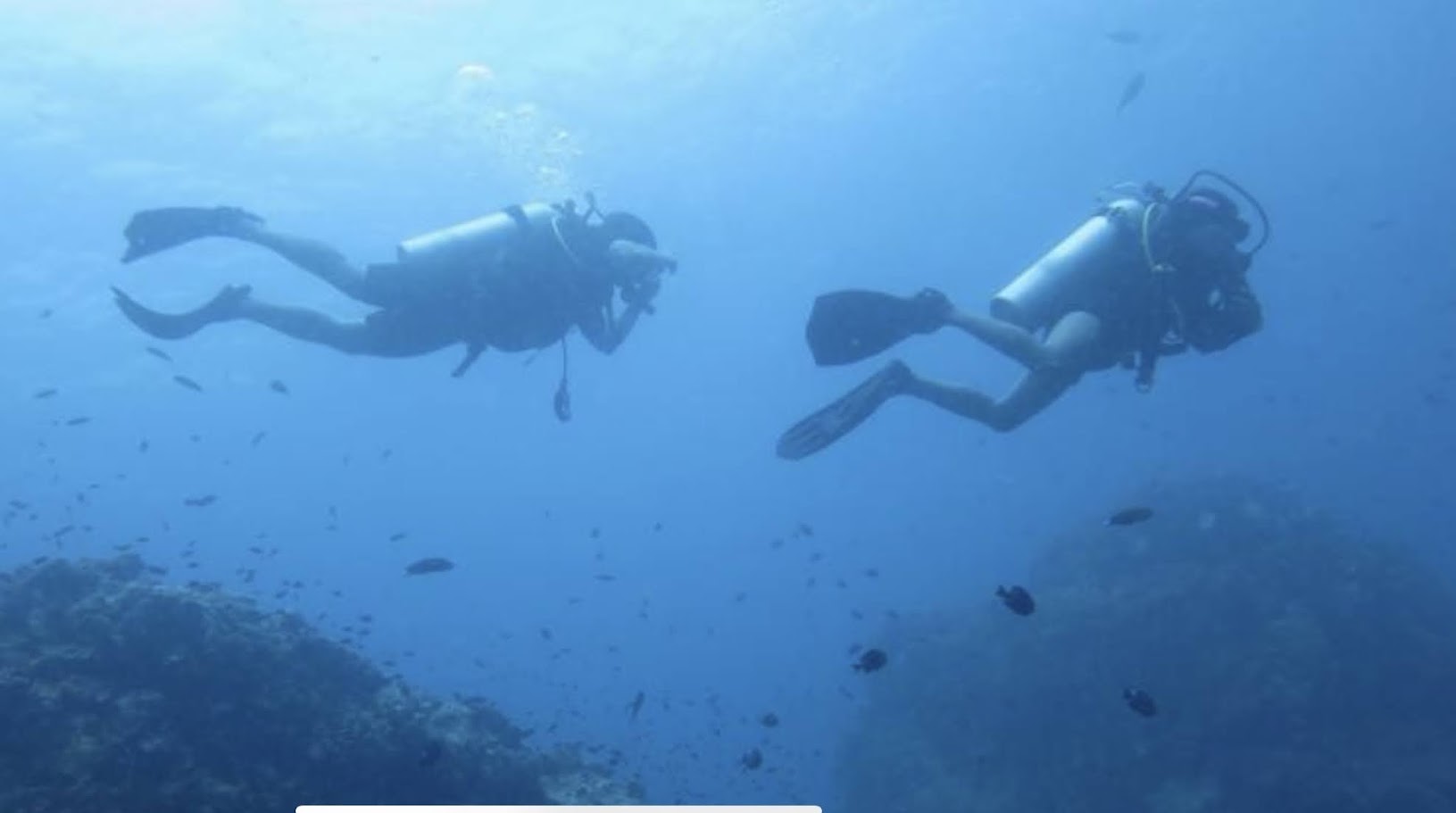 media/images/country-pages/thailand/the-andaman-coast/koh-tao-padi-open-water-course-by-the-dearly/koh-tao-padi-open-water-course-by-the-dearly-4/4155365-1-eng-GB/koh-tao-padi-open-water-course-by-the-dearly-4.jpg