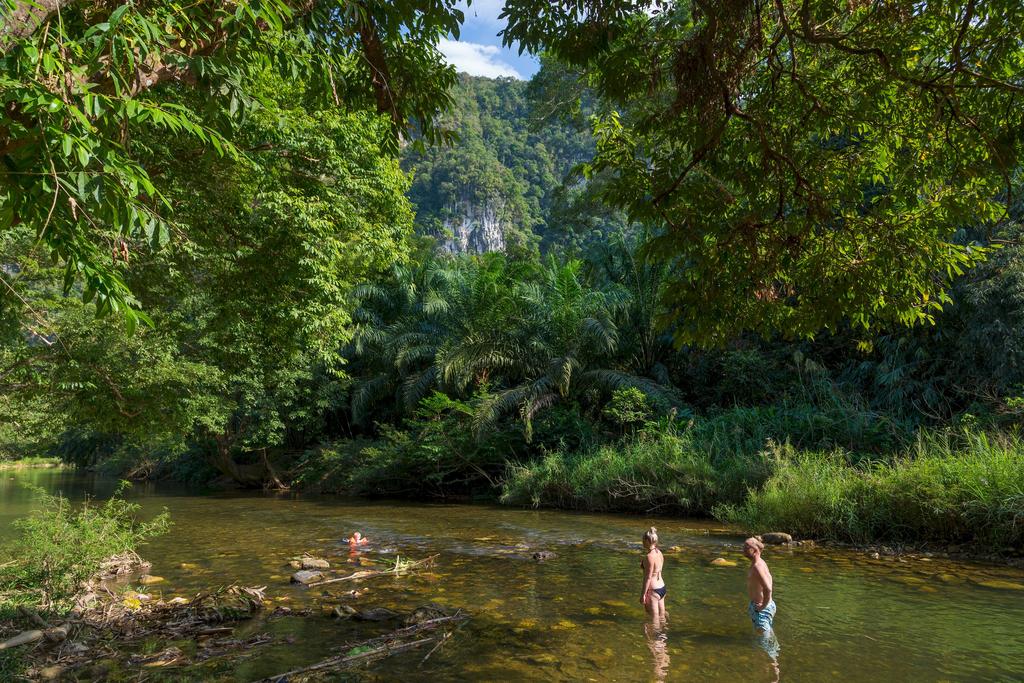 media/images/country-pages/thailand/the-andaman-coast/the-andaman-coast-basecamps/backpacker-basecamp-at-our-jungle-camp/181383664/2799788-1-eng-GB/181383664.jpg