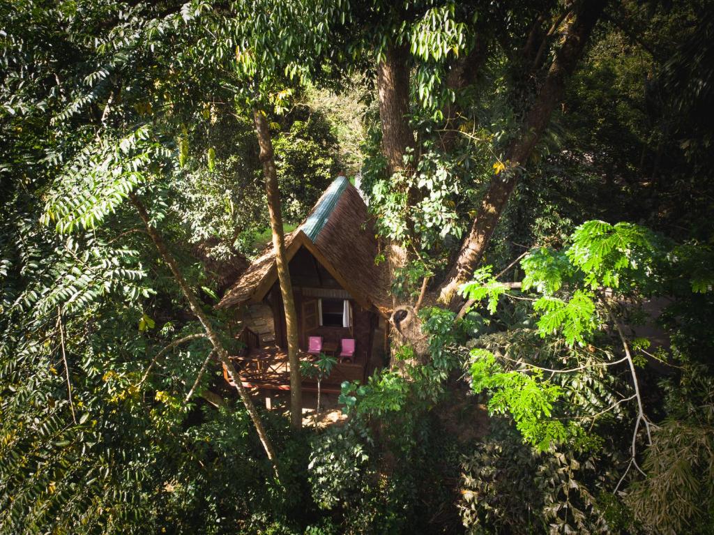 media/images/country-pages/thailand/the-andaman-coast/the-andaman-coast-basecamps/backpacker-basecamp-at-our-jungle-camp/245779926/2931509-1-eng-GB/245779926.jpg