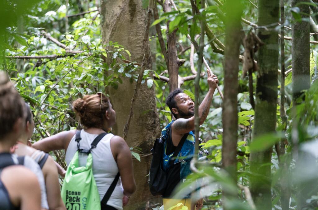 media/images/country-pages/thailand/the-andaman-coast/the-andaman-coast-basecamps/backpacker-basecamp-at-our-jungle-camp/269476031/2799794-1-eng-GB/269476031.jpg