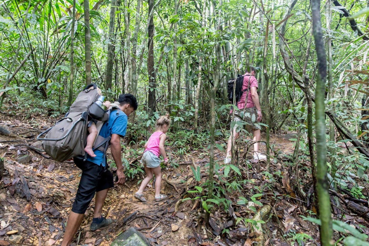 media/images/country-pages/thailand/the-andaman-coast/the-andaman-coast-trips/khao-sok-tree-house-and-lake-explorer/family-holiday-our-jungle-camp-3/2931318-1-eng-GB/family-holiday-our-jungle-camp-3.jpg
