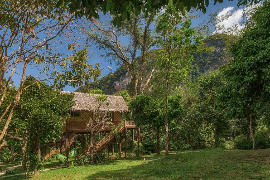 media/images/country-pages/thailand/the-andaman-coast/the-andaman-coast-trips/khao-sok-tree-house-and-lake-explorer/tree-house/2931360-1-eng-GB/tree-house.jpg