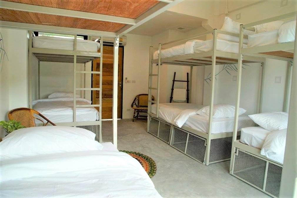 media/images/country-pages/thailand/the-gulf-coast/backpacker-gulf-of-thailand-island-hopper/the-dearly-koh-tao-dorm-room/4335466-1-eng-GB/the-dearly-koh-tao-dorm-room.jpg