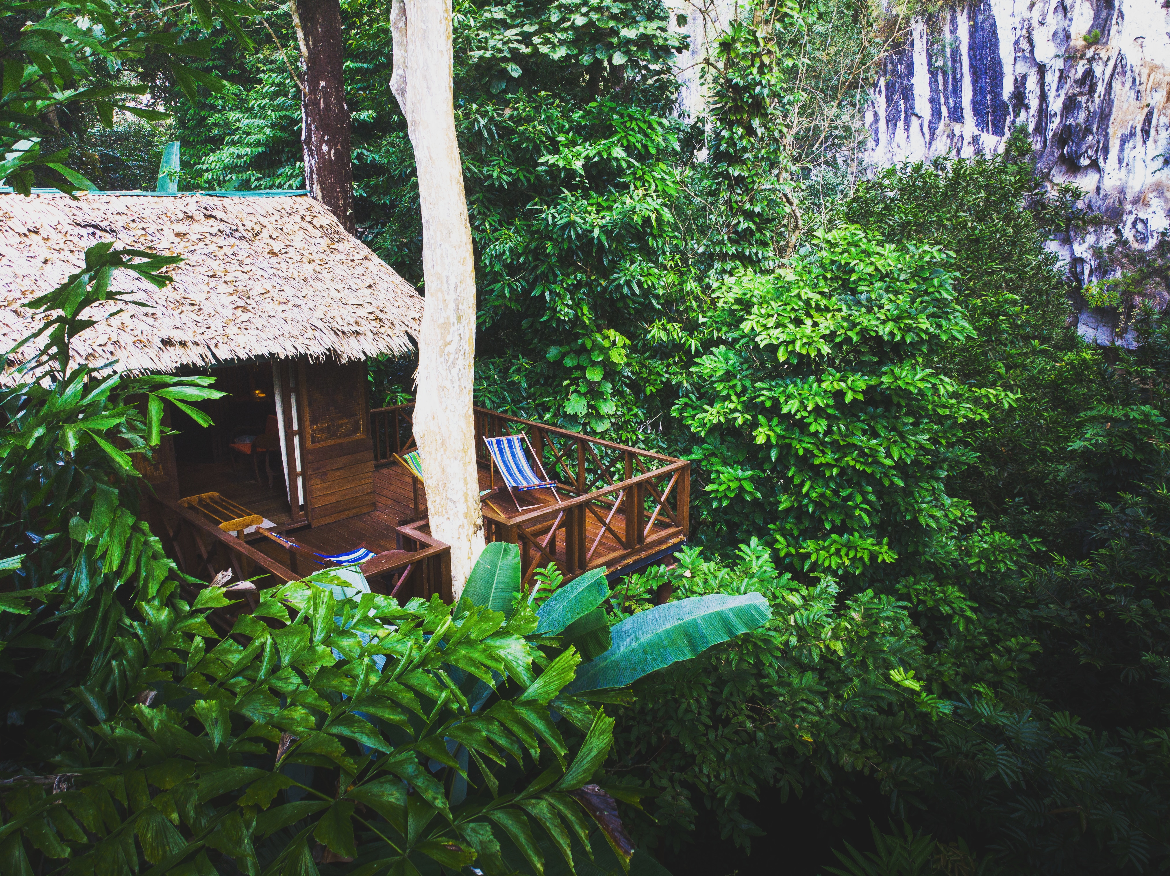 media/images/country-pages/thailand/the-gulf-coast/backpacker-plus-khao-sok-adventure/halfmoon-family-treehouse-our-jungle-house/3862910-1-eng-GB/halfmoon-family-treehouse-our-jungle-house.jpg