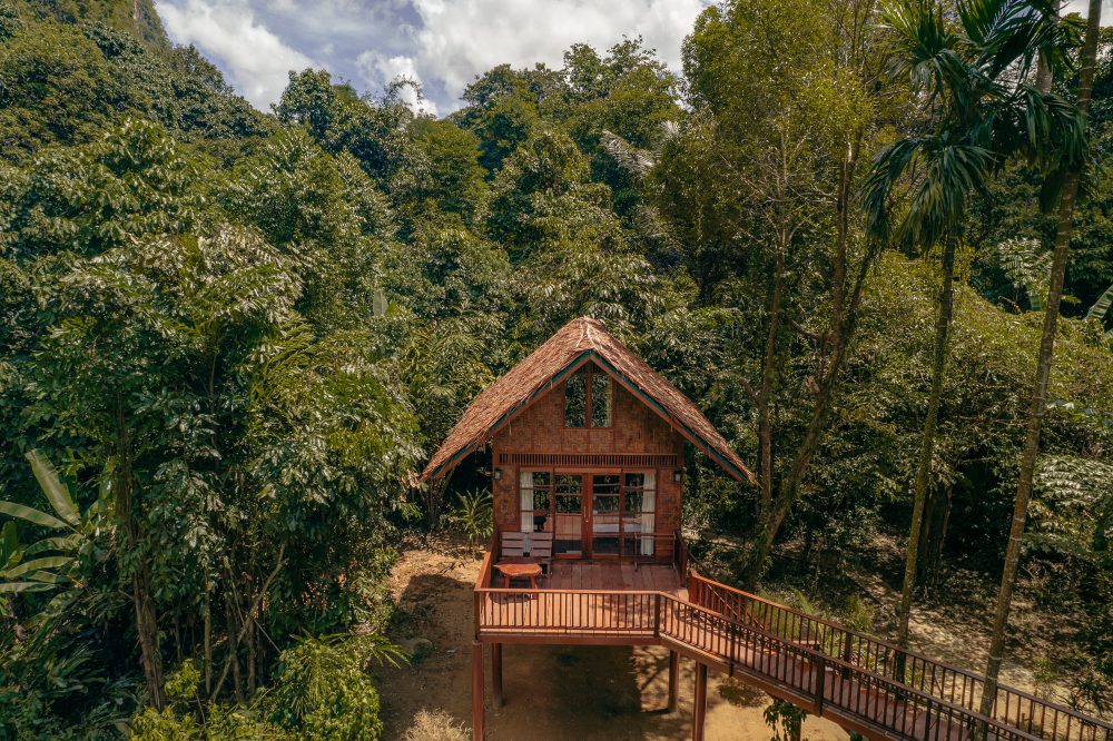media/images/country-pages/thailand/the-gulf-coast/backpacker-plus-koh-phangan-to-phuket-explorer/sunrise-loft-treehouse-our-jungle-house/3861801-1-eng-GB/sunrise-loft-treehouse-our-jungle-house.jpg