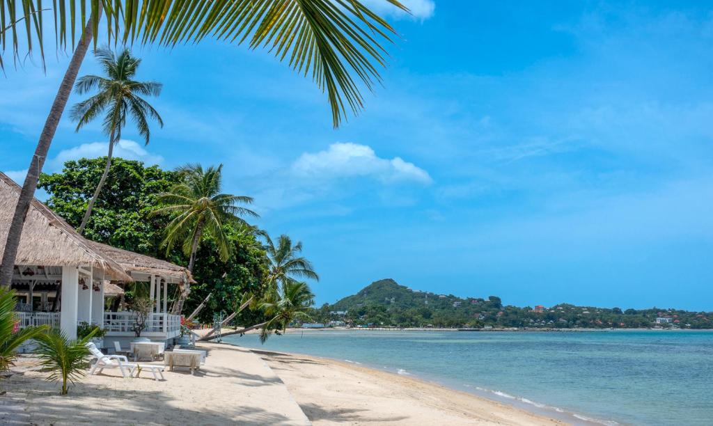 media/images/country-pages/thailand/the-gulf-coast/comfort-gulf-of-thailand-island-hopper/sand-sea-beach-resort-koh-samui-1/4334555-1-eng-GB/sand-sea-beach-resort-koh-samui-1.jpg