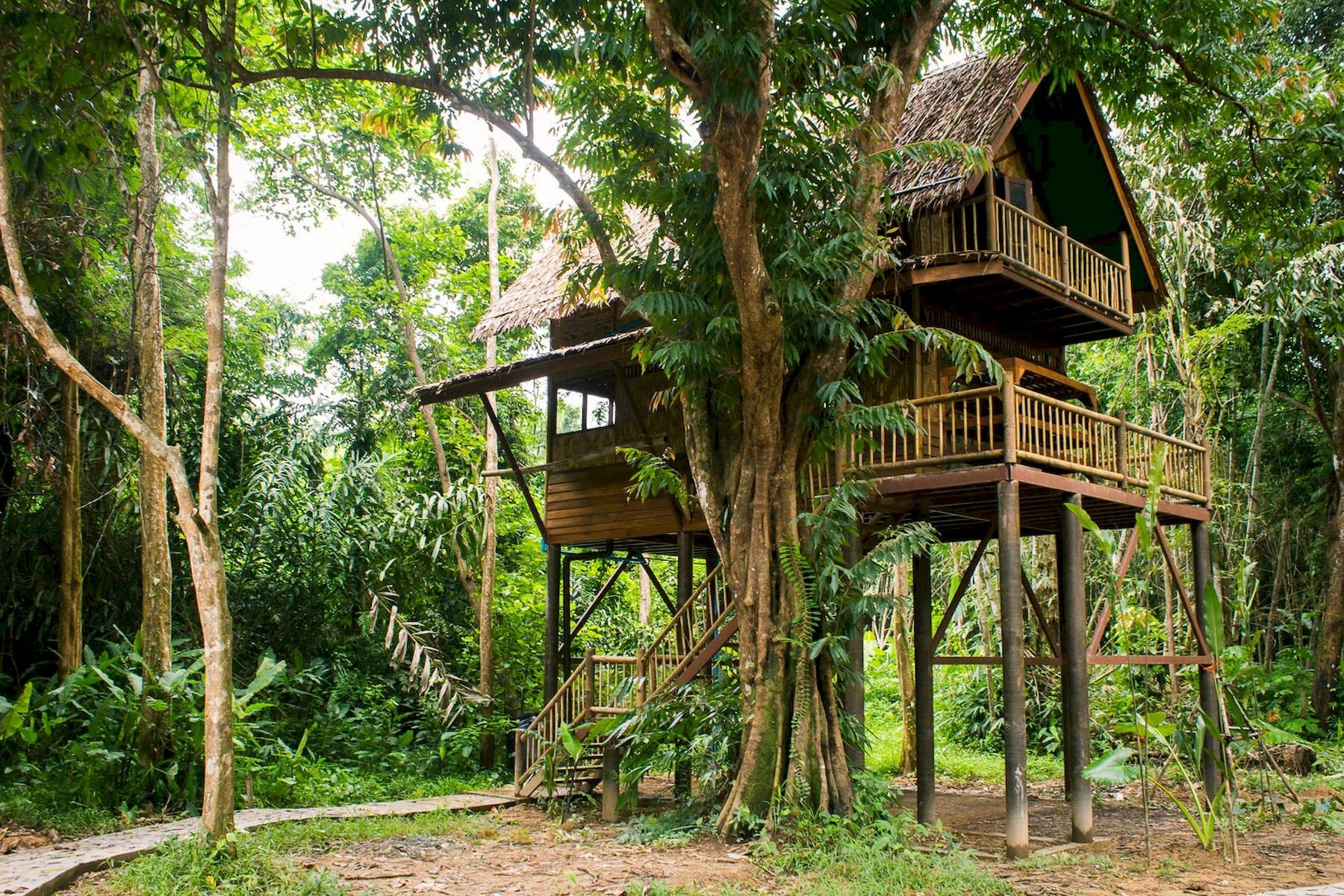 media/images/country-pages/thailand/the-gulf-coast/comfort-khao-sok-adenture-explorer/double-story-tree-house/3859303-1-eng-GB/double-story-tree-house.jpg