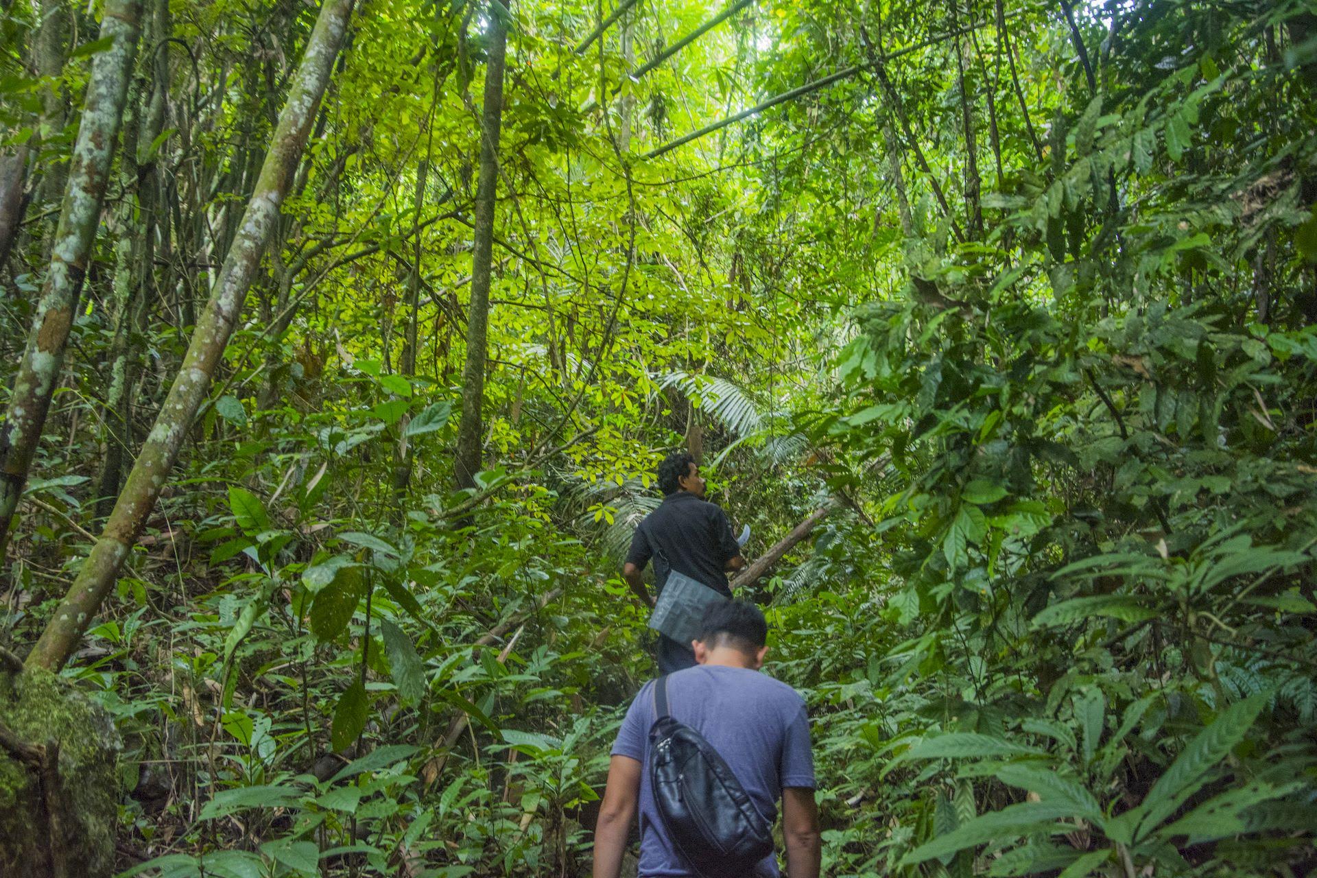 media/images/country-pages/thailand/the-gulf-coast/comfort-khao-sok-adenture-explorer/trekking/3859273-1-eng-GB/trekking.jpg