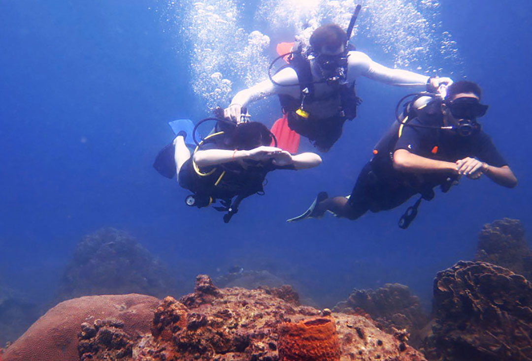 media/images/country-pages/thailand/the-gulf-coast/the-gulf-coast-trips/koh-tao-padi-advanced-open-water-course-3-days/koh-tao-padi-advanced-open-water-course-3-days-6/2805073-1-eng-GB/koh-tao-padi-advanced-open-water-course-3-days-6.jpg