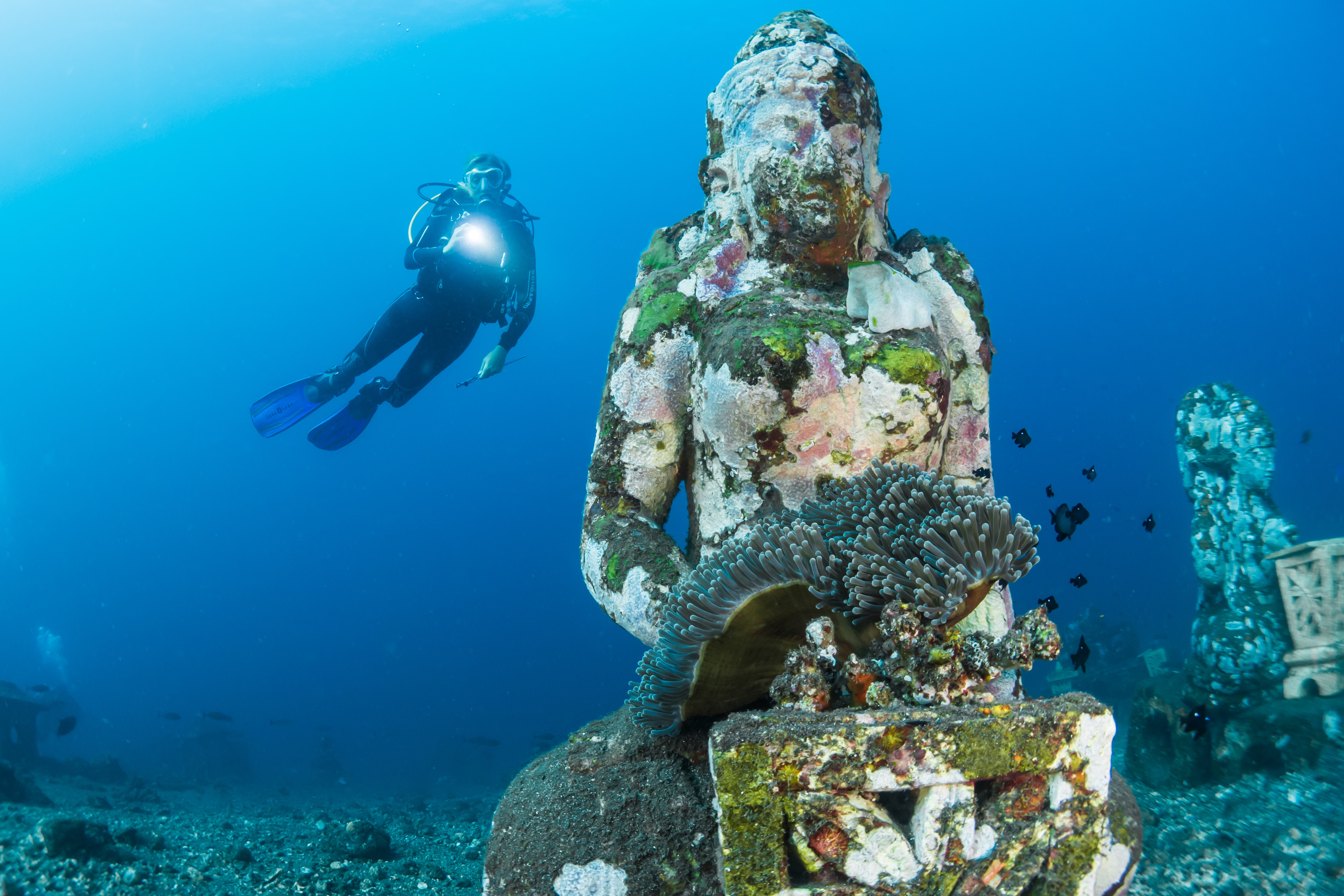 media/images/country-pages/thailand/the-gulf-coast/the-gulf-coast-trips/koh-tao-padi-open-water-course-5-days/koh-tao-padi-open-water-course-5-days-11/2804725-1-eng-GB/koh-tao-padi-open-water-course-5-days-11.jpg