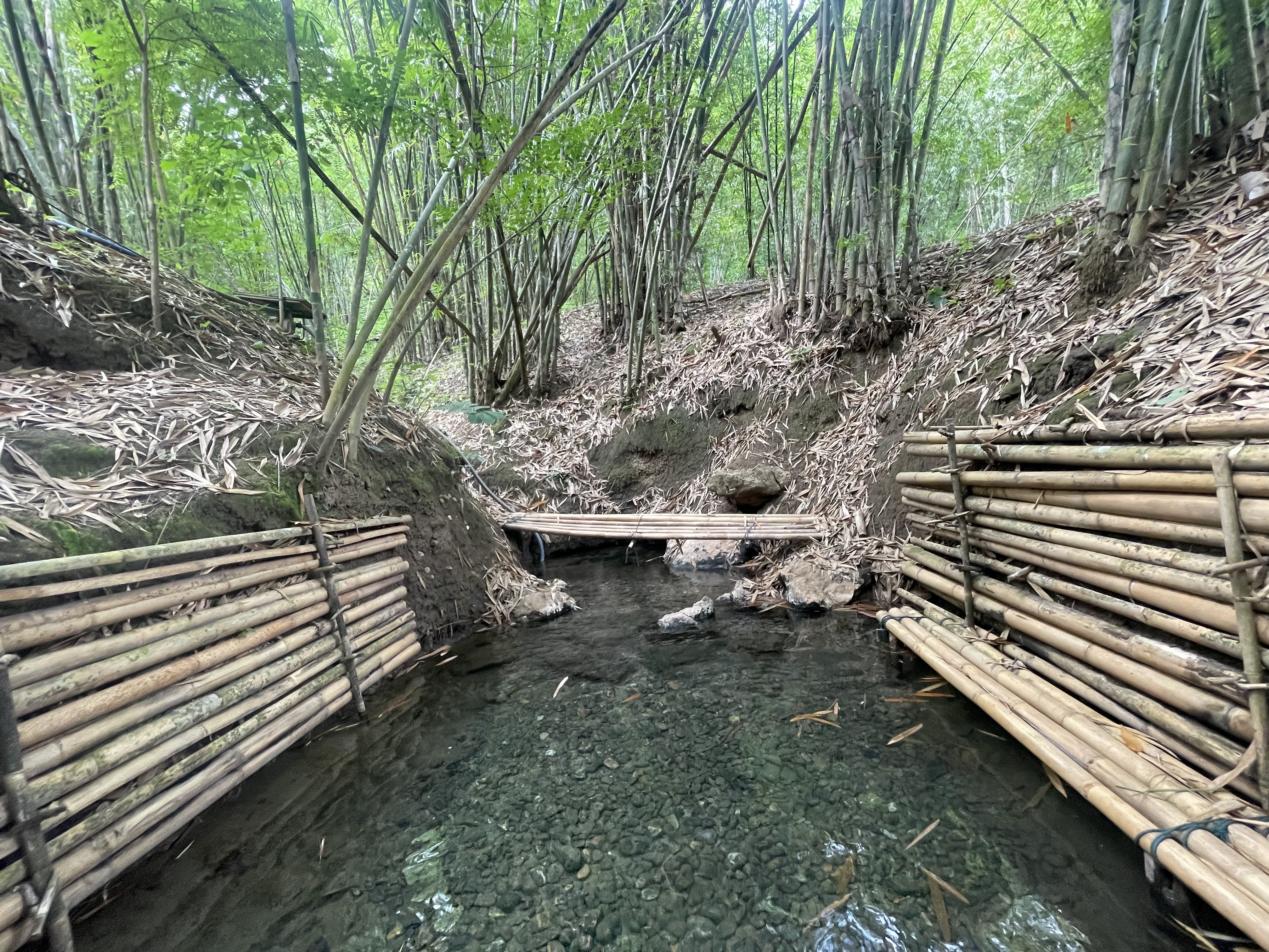 media/images/country-pages/thailand/the-north/family-umphang-wildlife-explorer/umphang-wildlife-hot-spring/4164984-1-eng-GB/umphang-wildlife-hot-spring.jpg