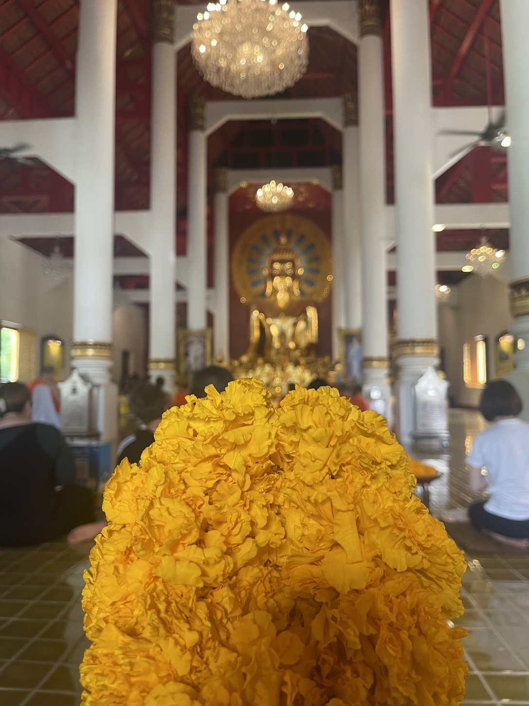 media/images/country-pages/thailand/the-north/half-day-city-and-temples-tour/wat-chedi-luang-city-tour/3995336-1-eng-GB/wat-chedi-luang-city-tour.jpg