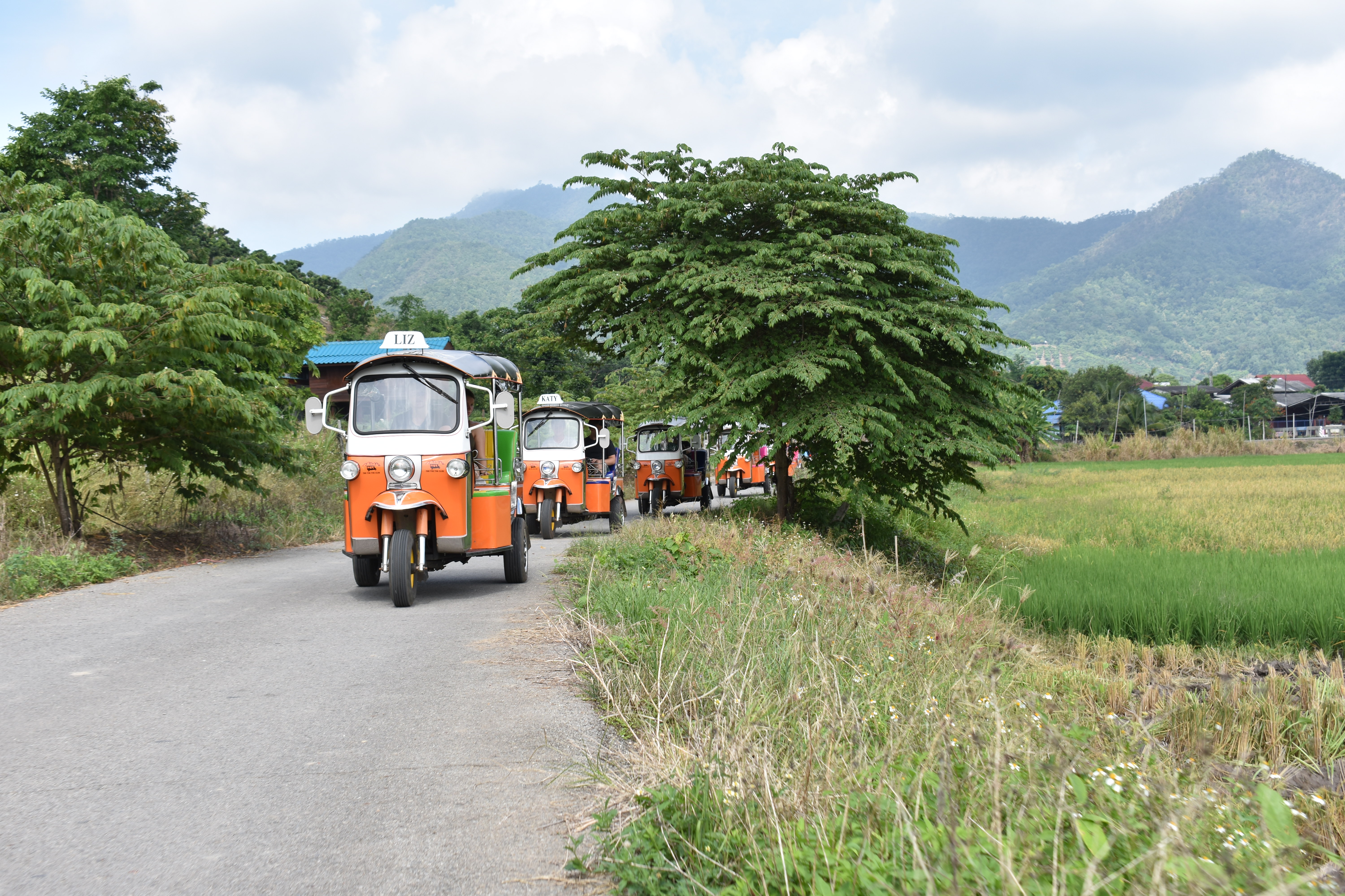 media/images/country-pages/thailand/the-north/the-north-trips/chiang-mai-driver-your-own-tuk-tuk/driver-your-own-tuk-tuk-2/2861581-1-eng-GB/driver-your-own-tuk-tuk-2.jpg