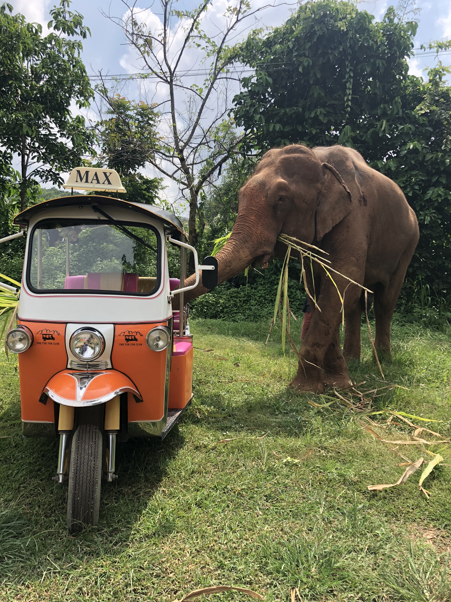 media/images/country-pages/thailand/the-north/the-north-trips/chiang-mai-driver-your-own-tuk-tuk/driver-your-own-tuk-tuk-6/2861605-1-eng-GB/driver-your-own-tuk-tuk-6.jpg