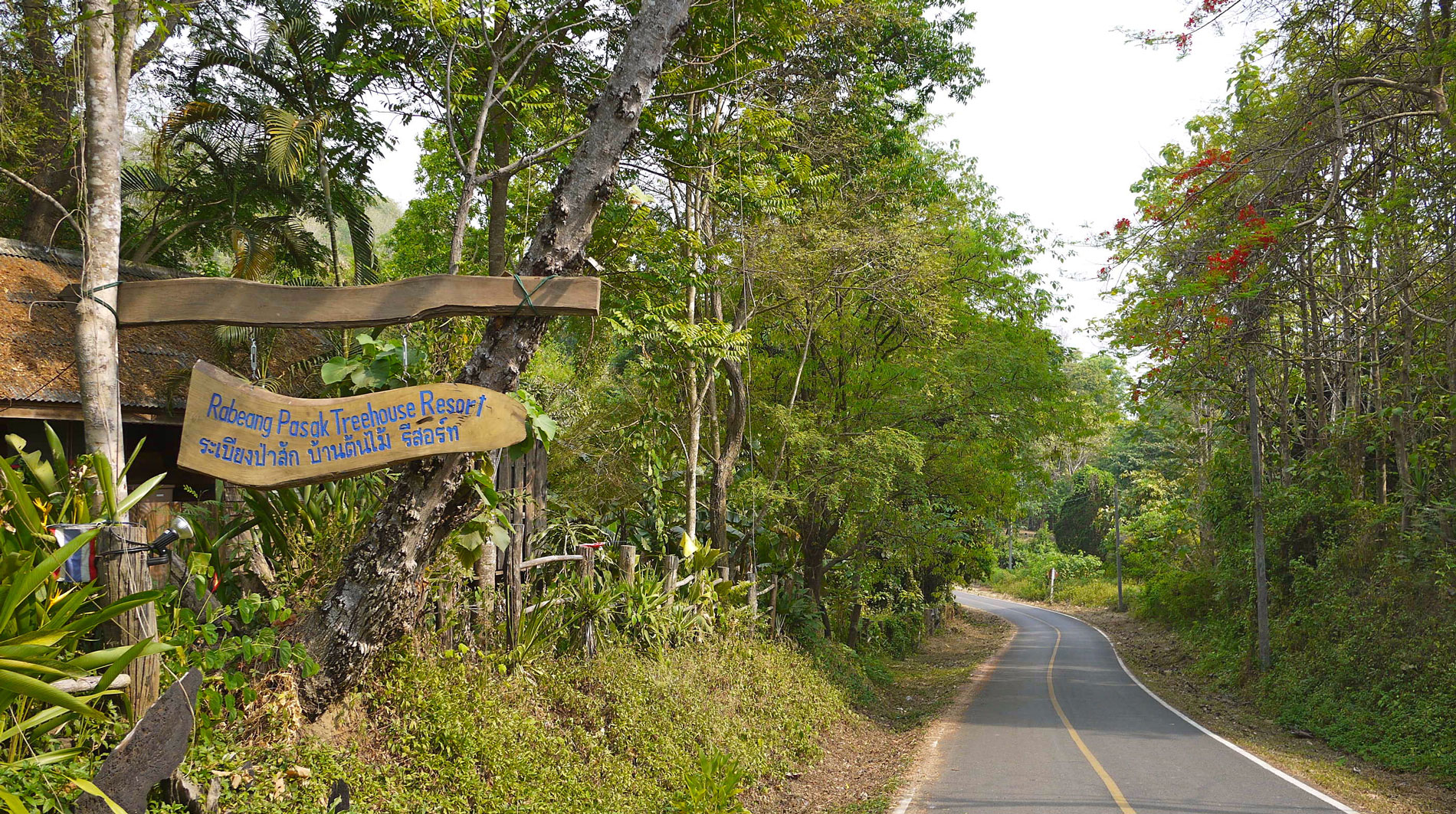 media/images/country-pages/thailand/the-north/the-north-trips/chiang-mai-family-treehouse-experience/chiang-mai-countryside-treehouse-experience-3-days-5/2806559-1-eng-GB/chiang-mai-countryside-treehouse-experience-3-days-5.jpg