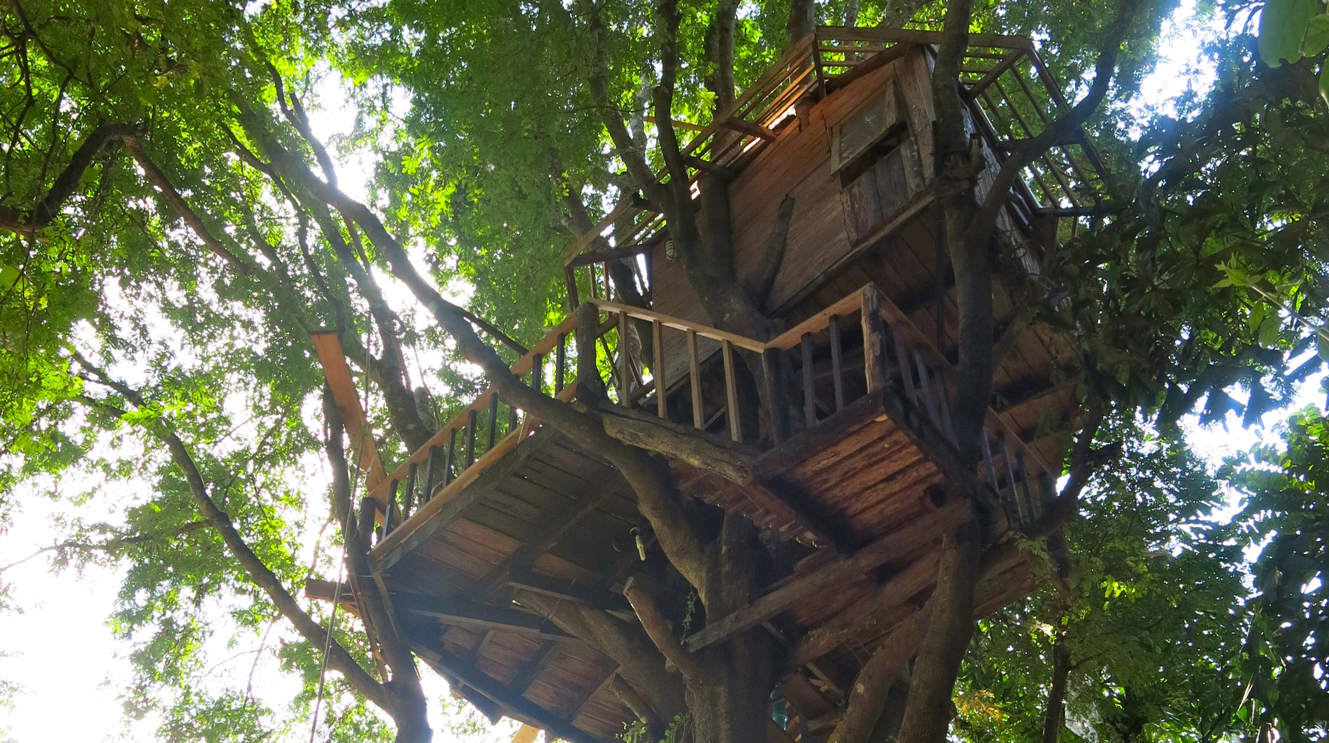 media/images/country-pages/thailand/the-north/the-north-trips/chiang-mai-family-treehouse-experience/chiang-mai-countryside-treehouse-experience-3-days-7/2806565-1-eng-GB/chiang-mai-countryside-treehouse-experience-3-days-7.jpg